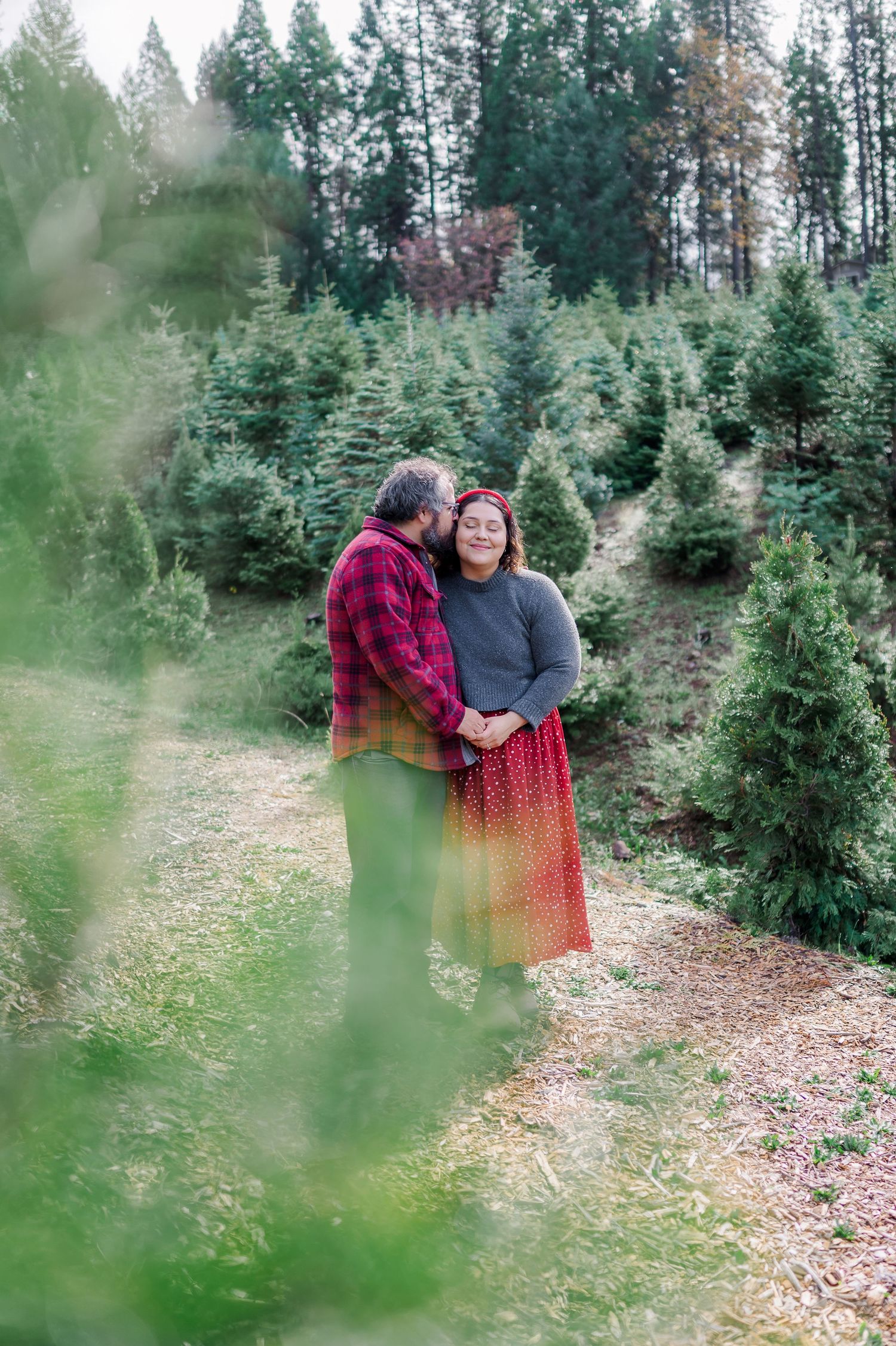A couple shares an intimate moment among evergreen trees at a Christmas tree farm on a misty winter day.