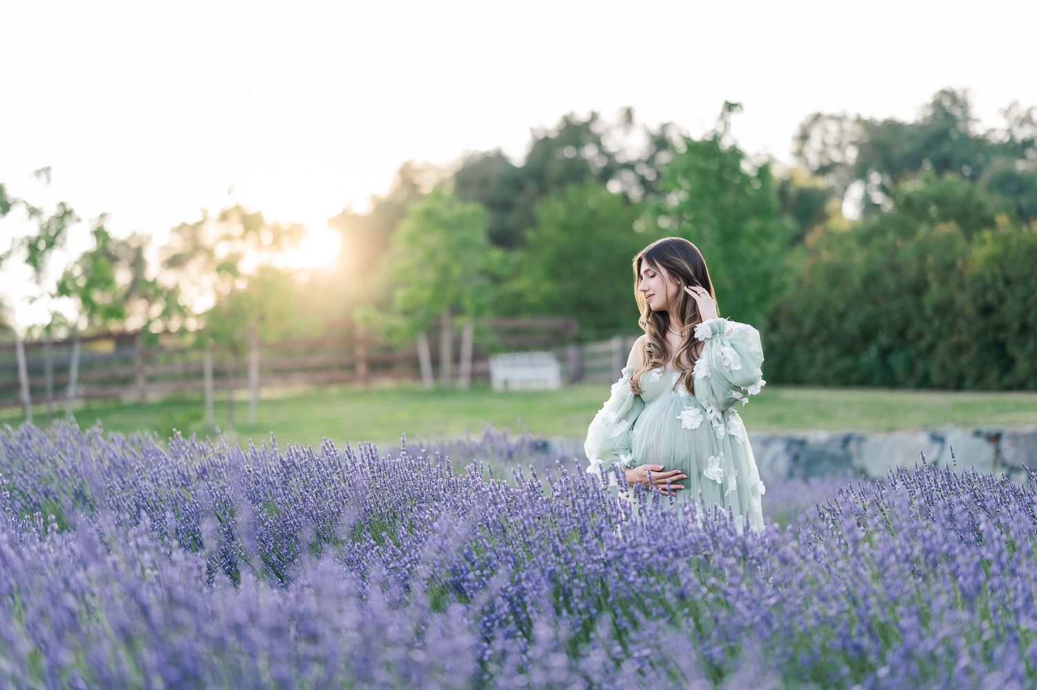A couple walks through a vibrant purple lavender field at sunset with golden light streaming through the trees.
