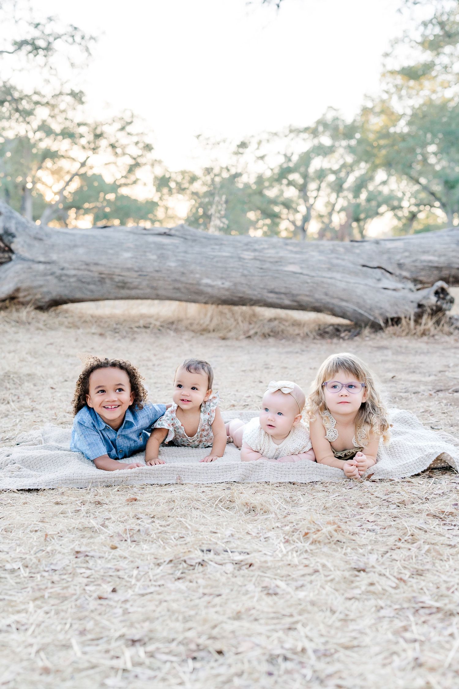Four young children lying on a blanket outdoors in a sunny park with a fallen log in the background.