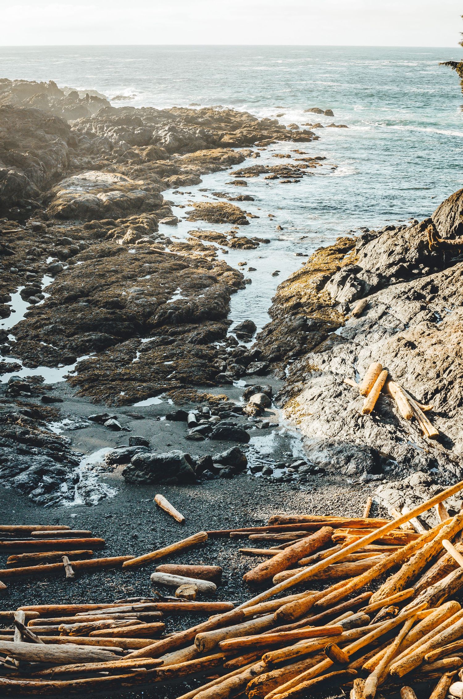 Vancouver Island Photographer.  Rock and driftwood coastline along Vancouver Island