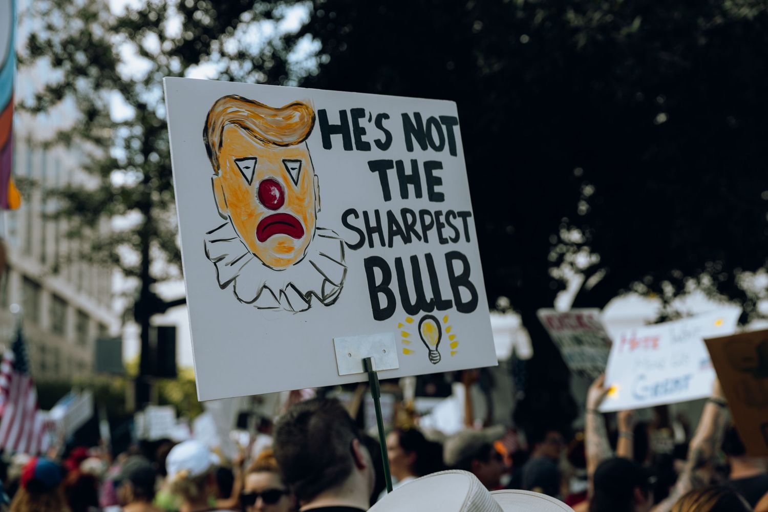 A protest sign featuring a cartoon lightbulb character with text reading 'He's not the sharpest bulb' at a demonstration.