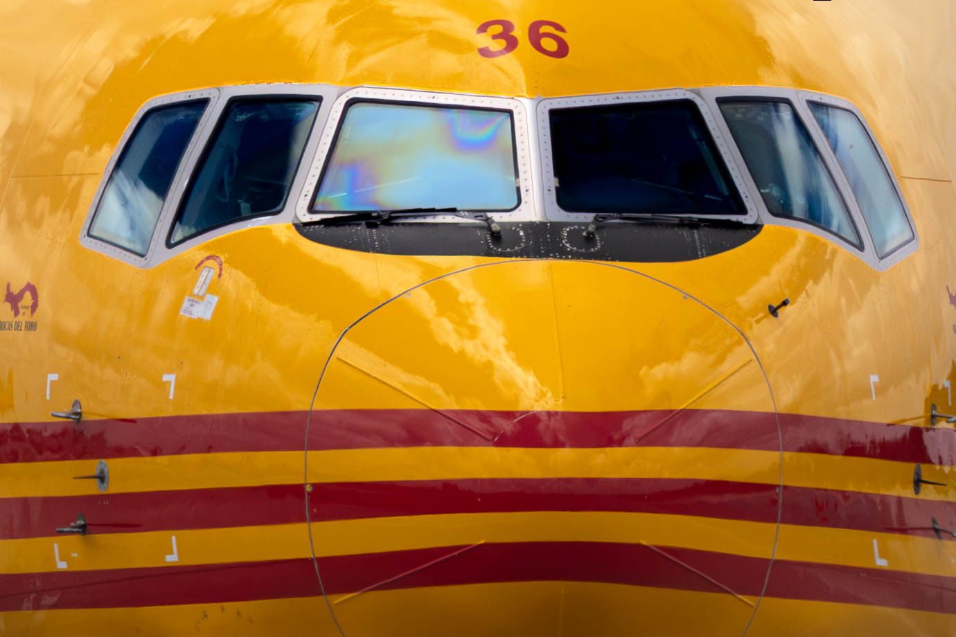 Close-up of a yellow DHL cargo aircraft nose with red and maroon stripes, cockpit windows, and number 36 markings.