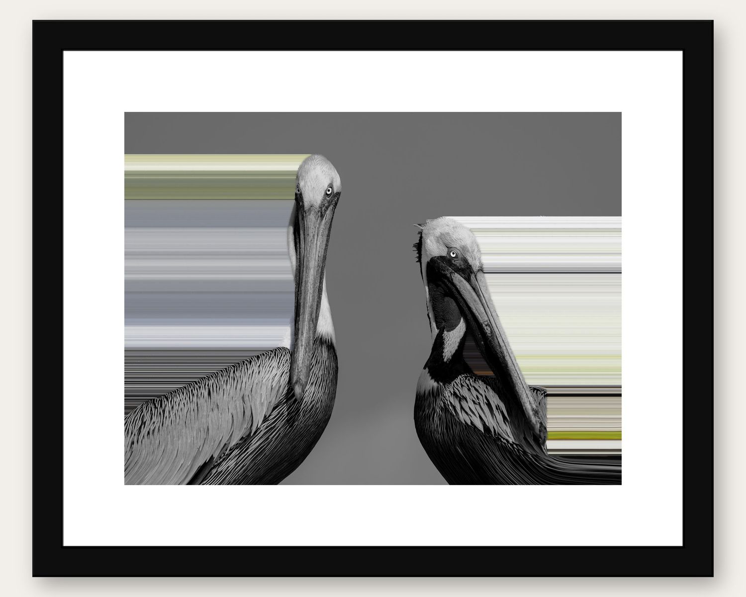Framed black and white photo of two pelicans facing each other on a gray background.