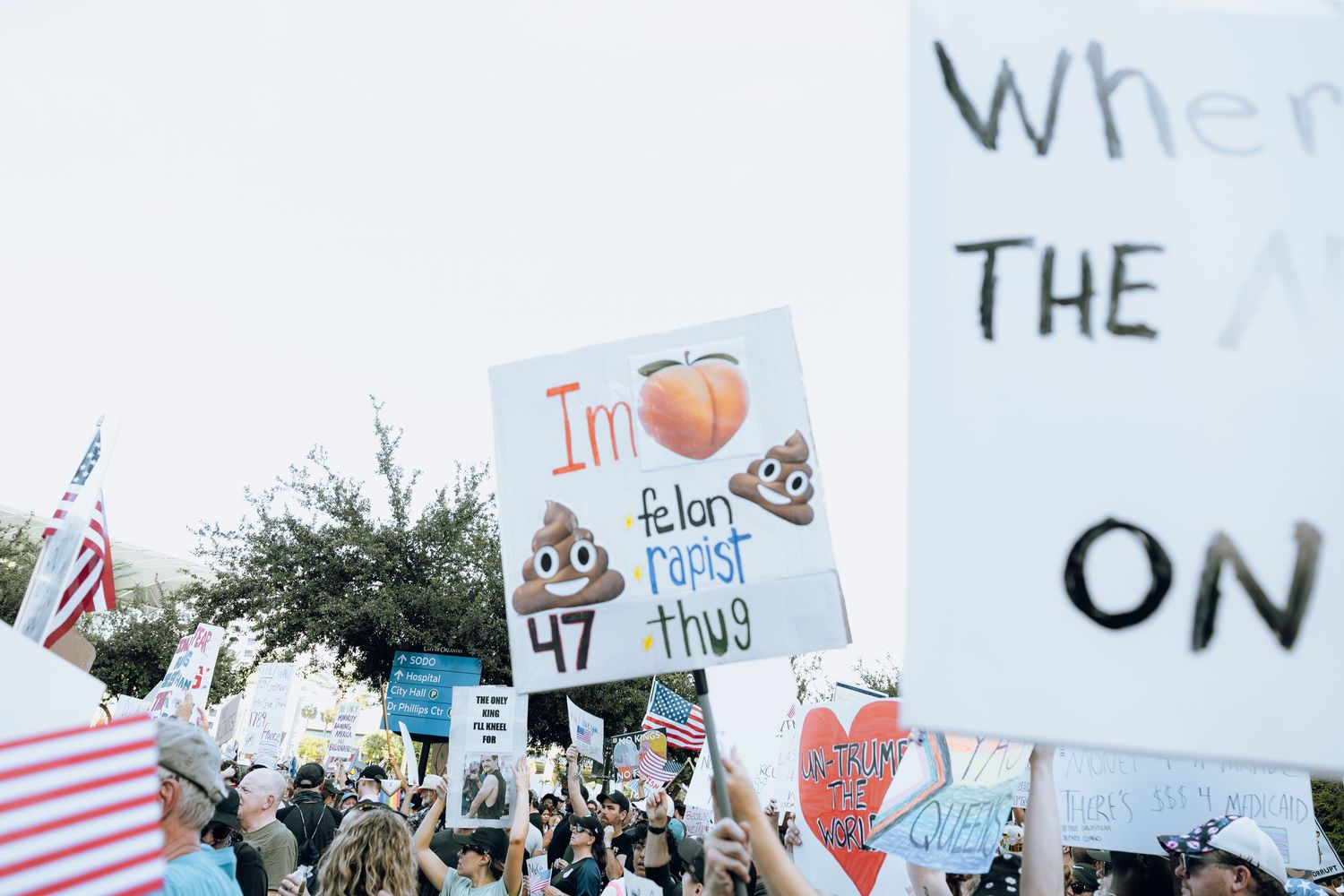 Protest signs and American flags held up against cloudy sky at public demonstration.