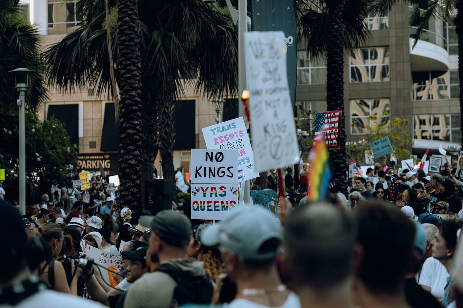Large crowd at protest rally holding signs including 