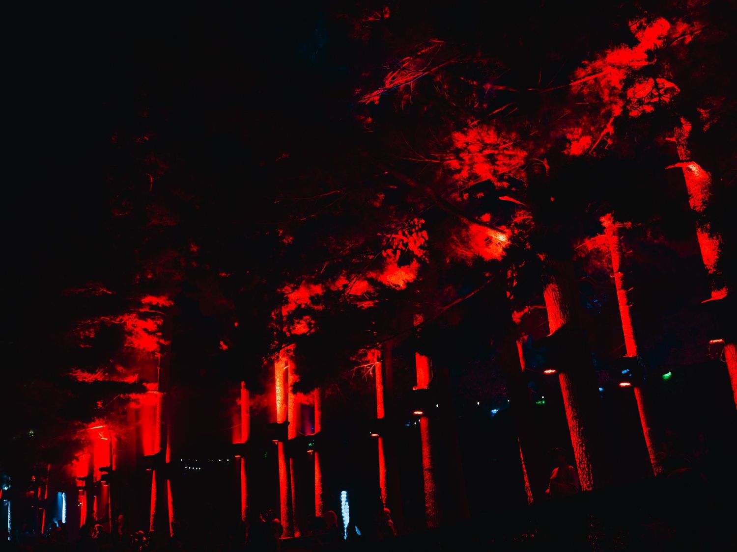 Red illuminated trees and crosses line a dark path creating an eerie nighttime atmosphere.