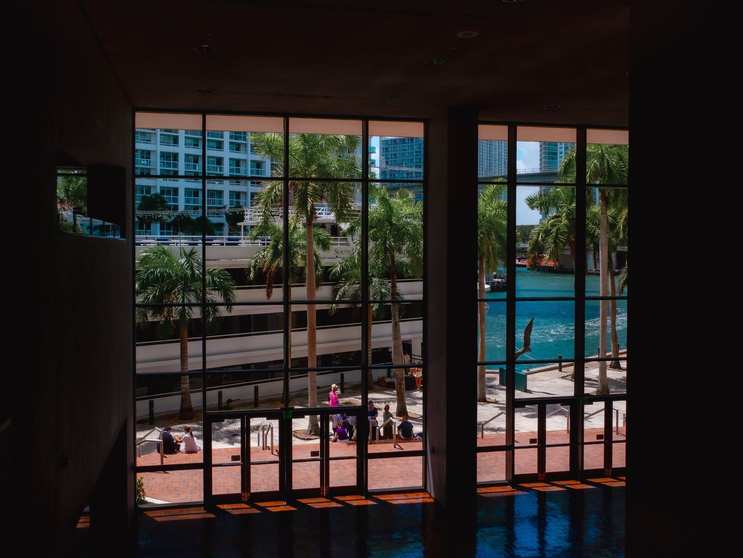 View through window of a resort hotel swimming pool with palm trees and lounge chairs on a sunny day.