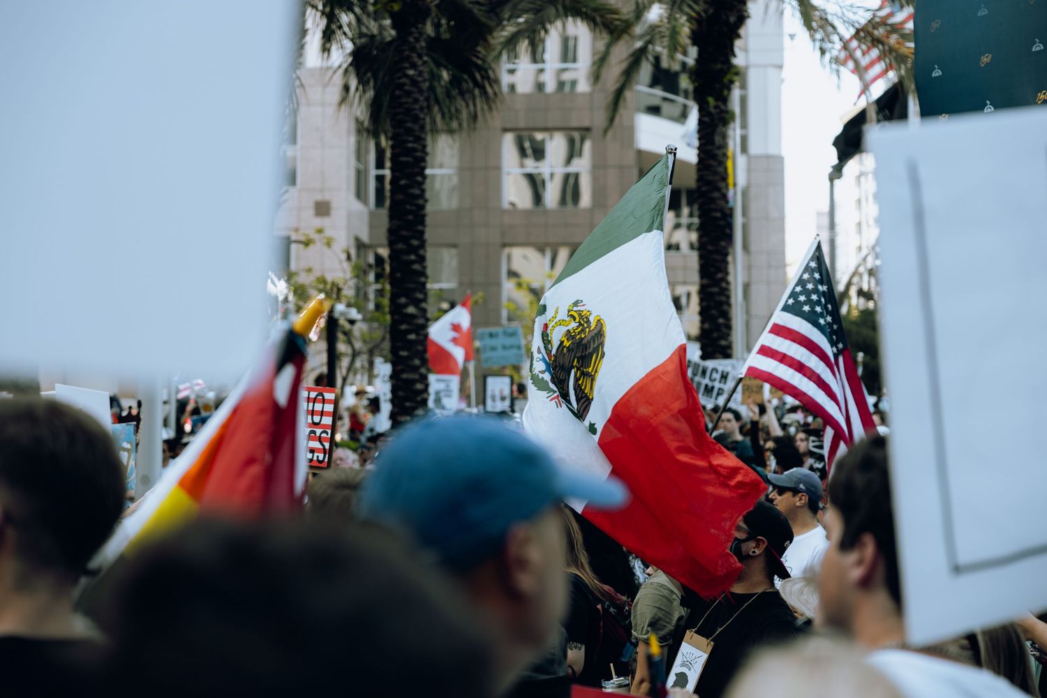 Crowd gathered at a protest with various flags including American flags and palm trees in the background.
