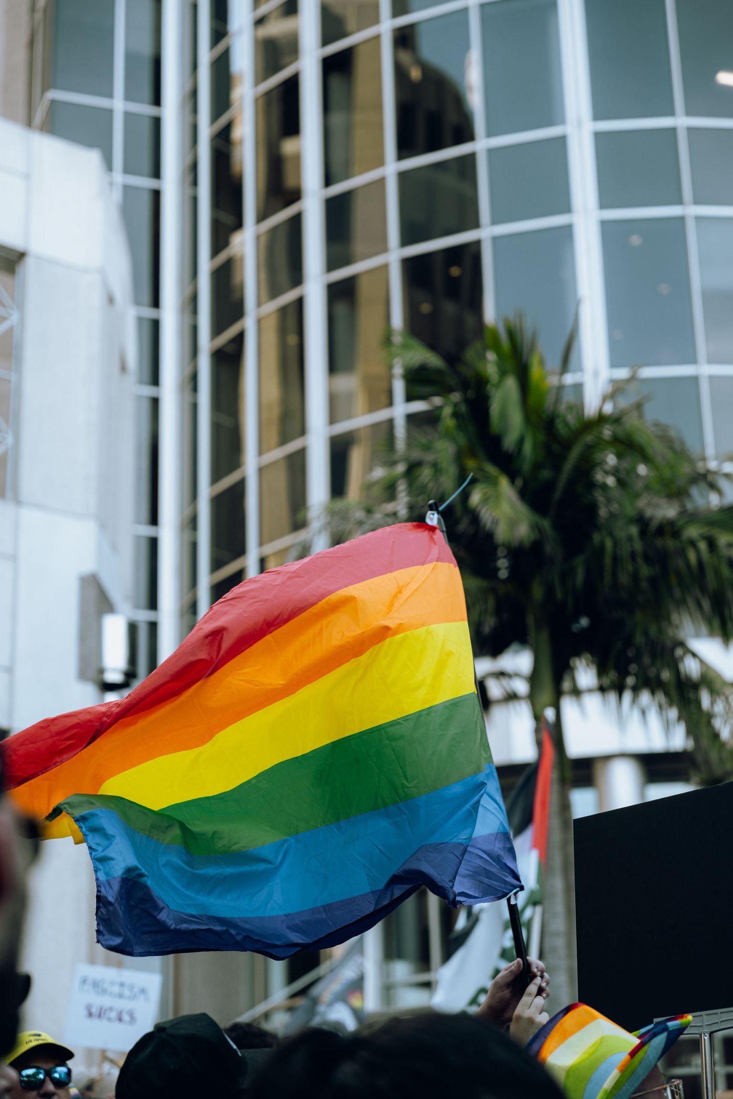 Rainbow pride flag waving in front of a modern glass building with palm trees.