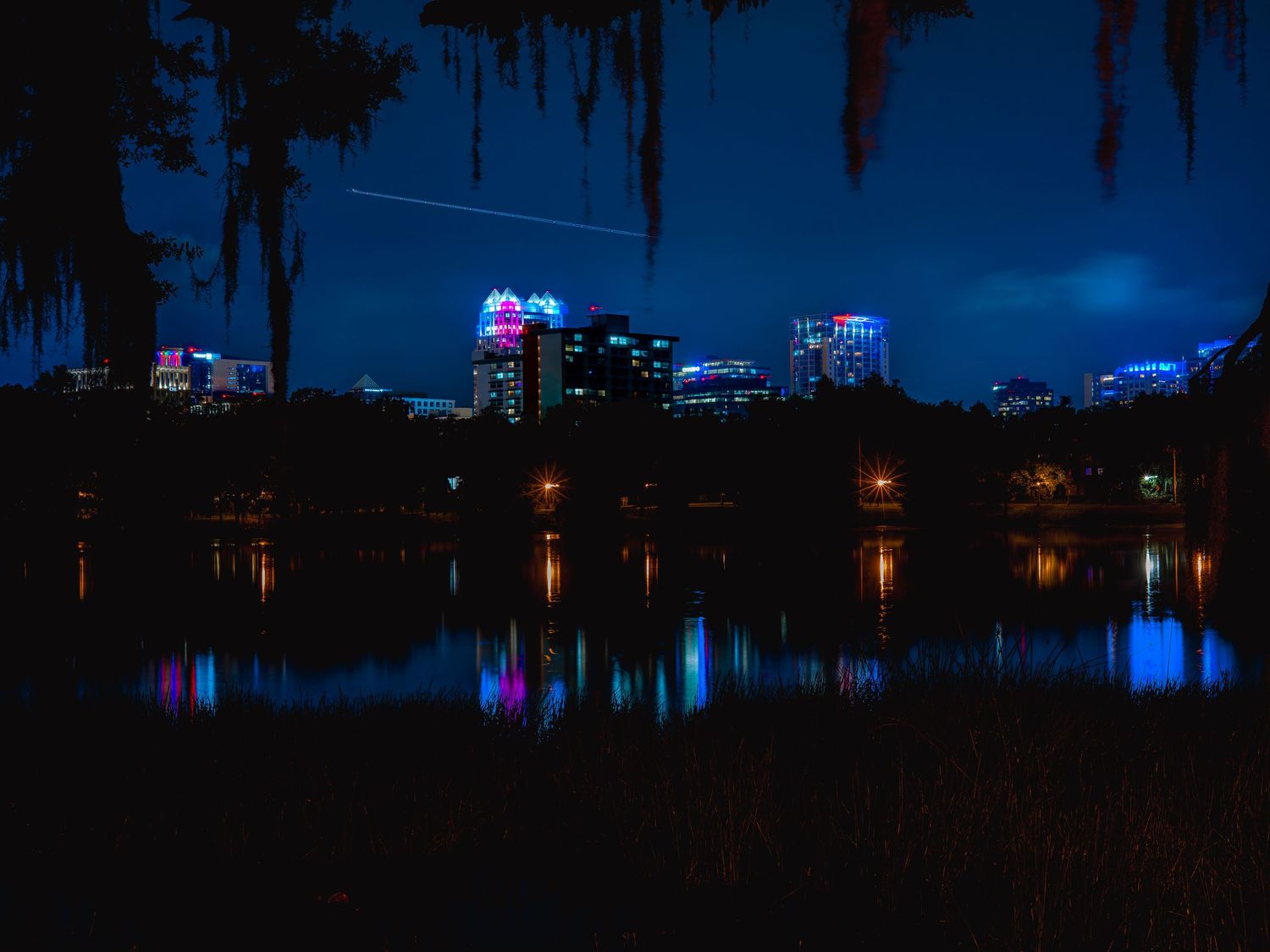 City skyline reflects colorful lights on a dark lake at night with Spanish moss hanging from trees in the foreground.