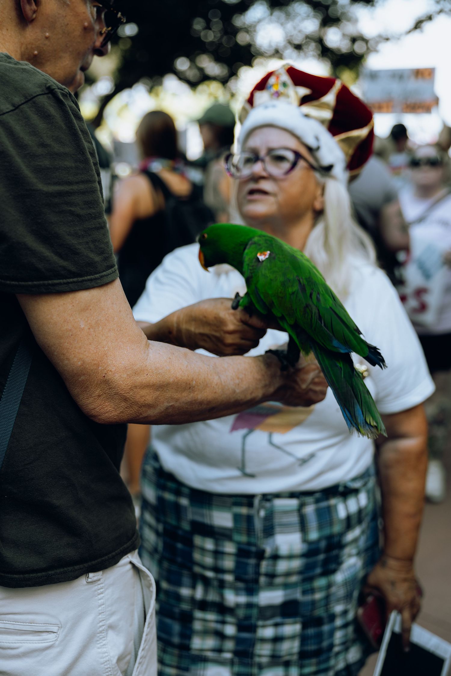 Person holding bright green parrot while interacting with onlooker at outdoor event.