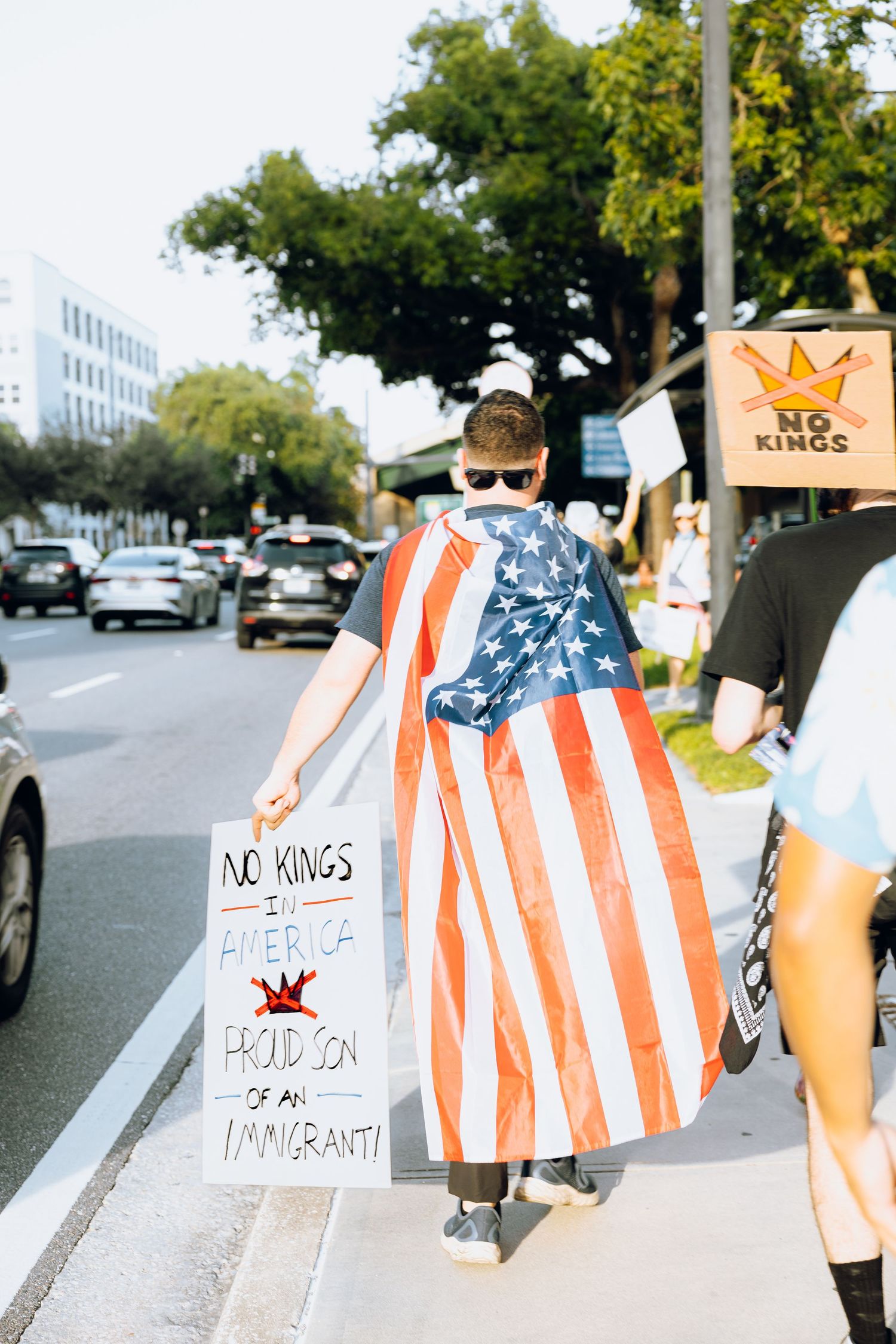 People holding American flag-themed signs line up along a street during a protest.