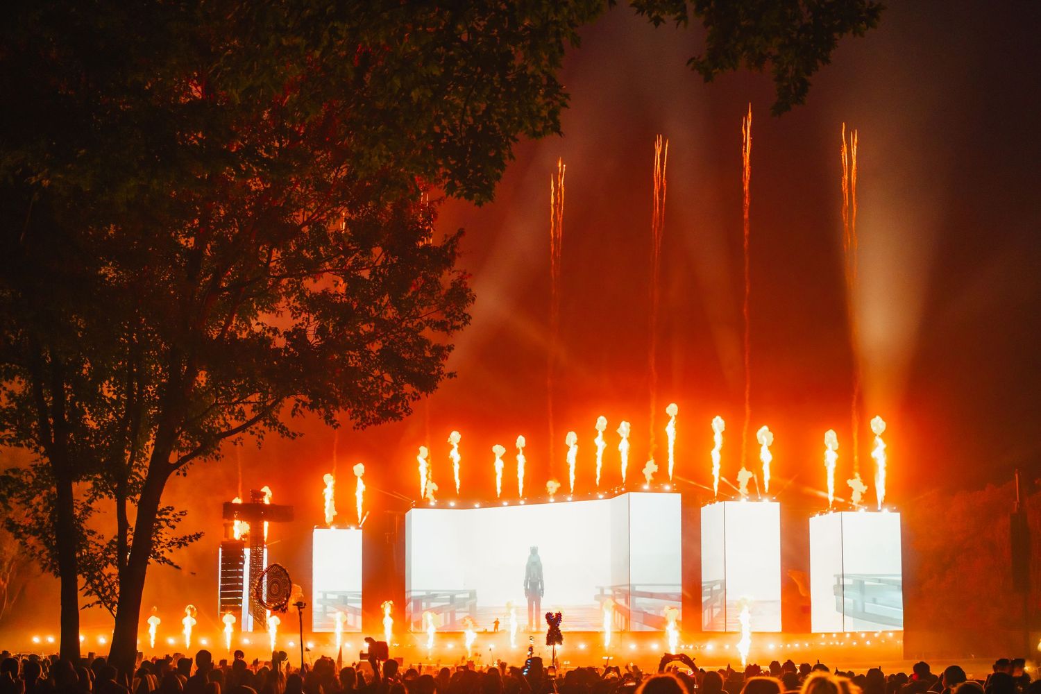Glowing orange lights illuminate a dark forest creating an ethereal nighttime atmosphere during an outdoor event.