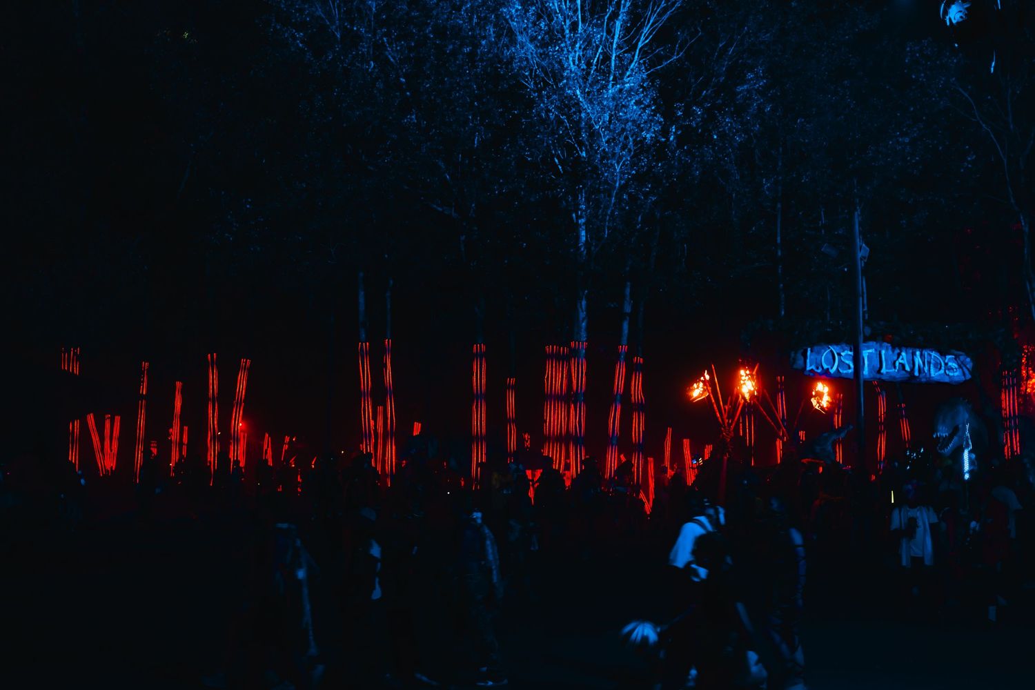 Illuminated red lights glow through dark trees at night creating an eerie atmospheric scene in a forest.