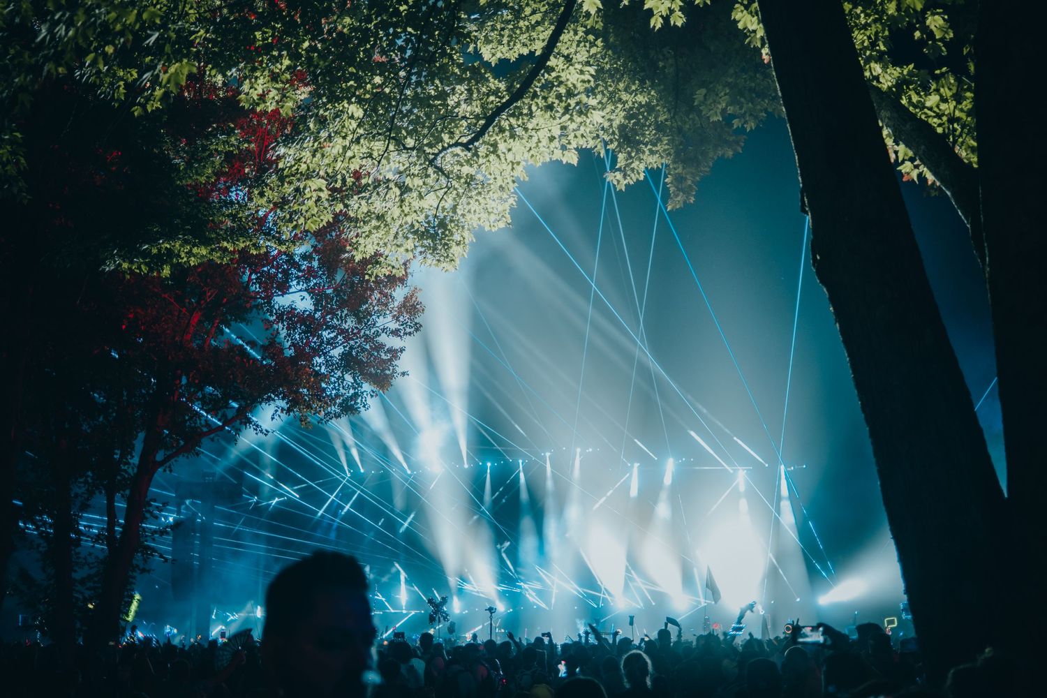 Concert stage illuminated with ethereal blue lights and fog creates a mystical atmosphere through a forest setting.