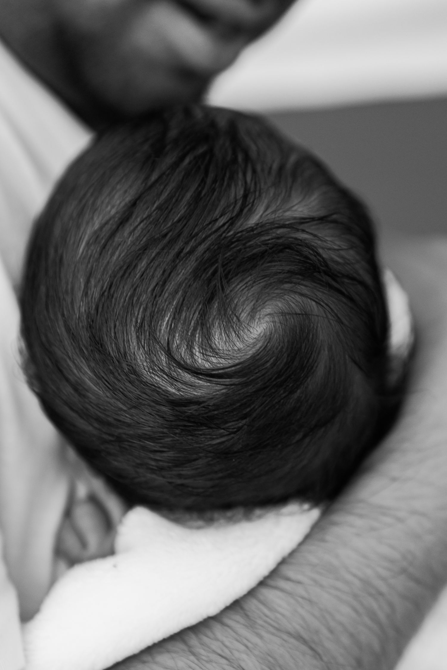 Newborn photographer torquay devon