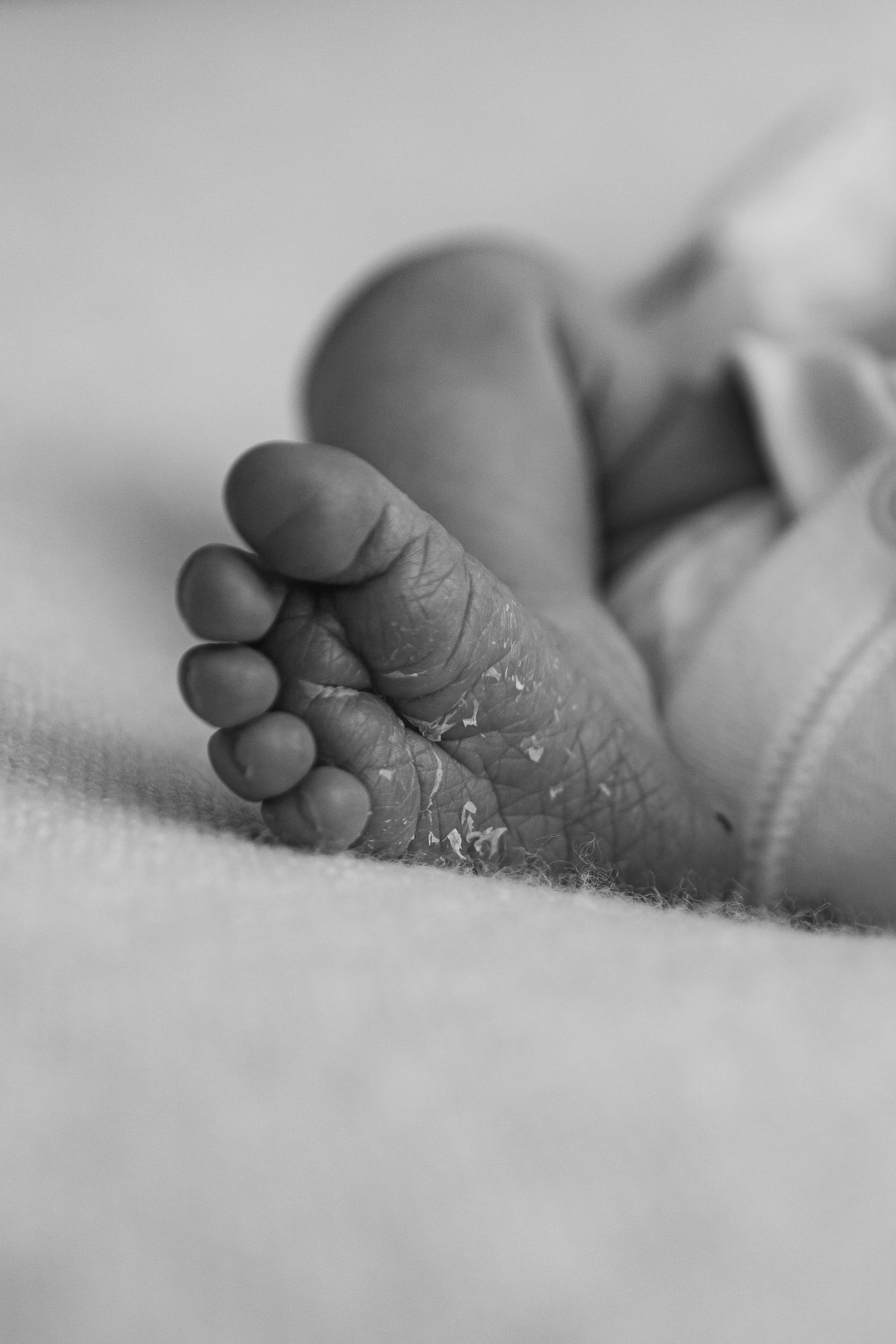 Ten tiny twin newborn shoot in exeter