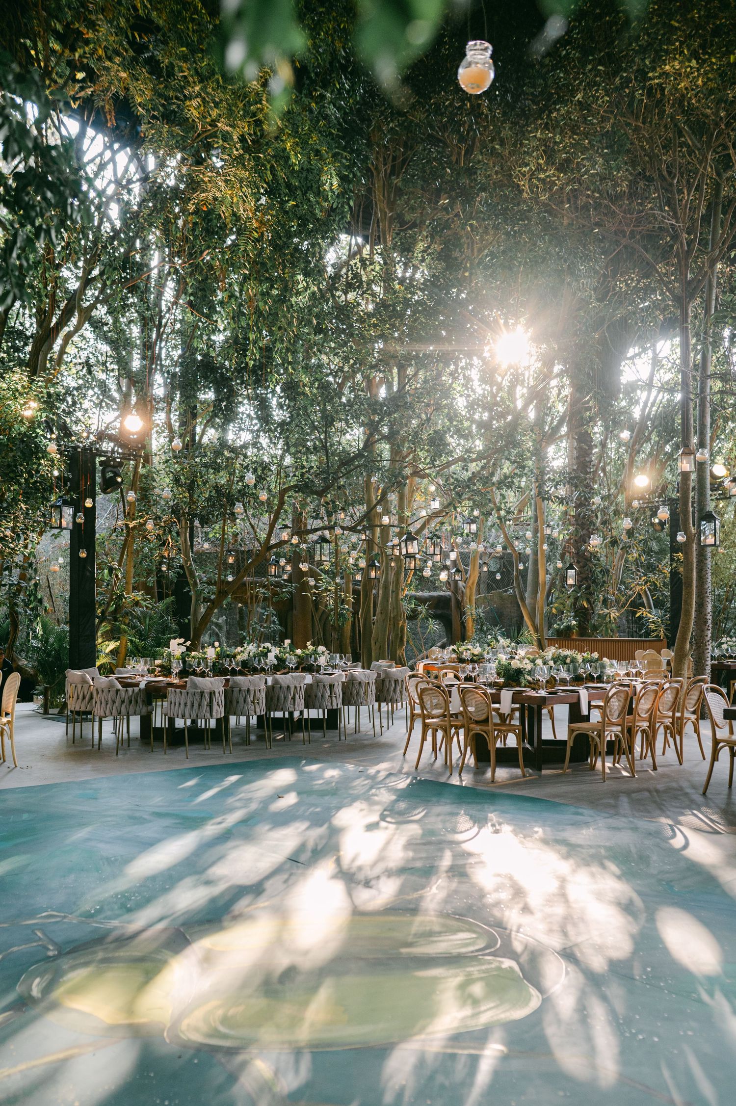 Sunlit outdoor wedding reception with long tables, wooden chairs, and globe lights hanging among tall trees.
