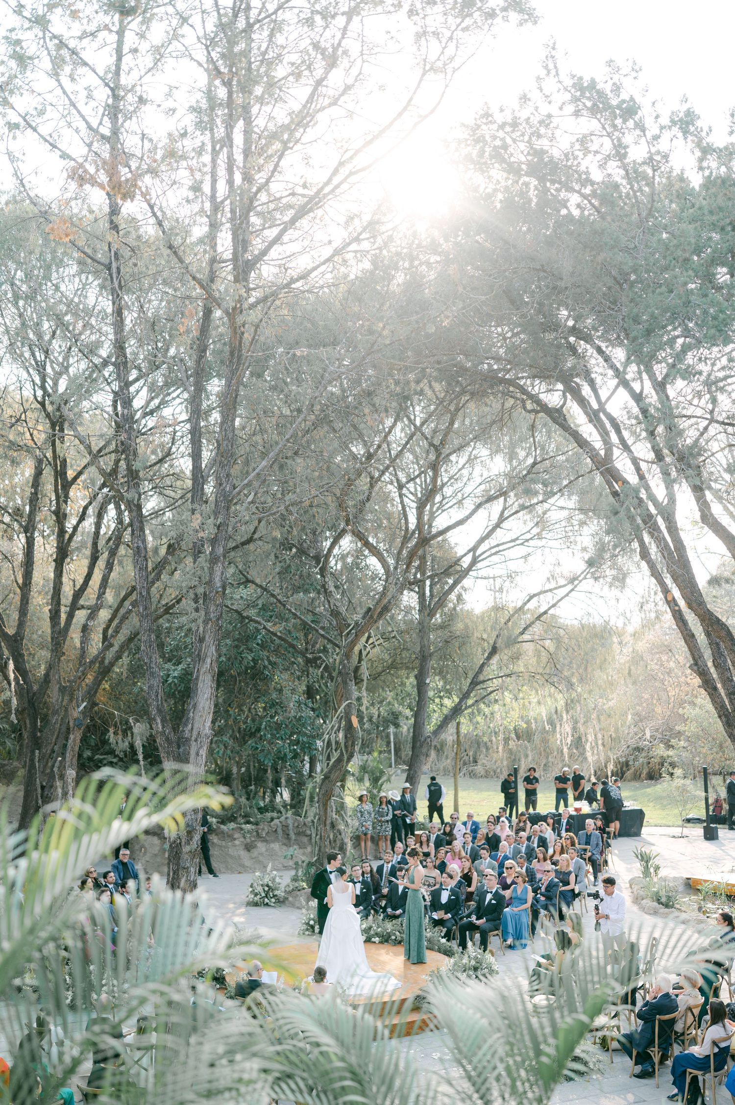 Aerial view of outdoor wedding ceremony surrounded by tall trees with golden sunlight streaming through branches.