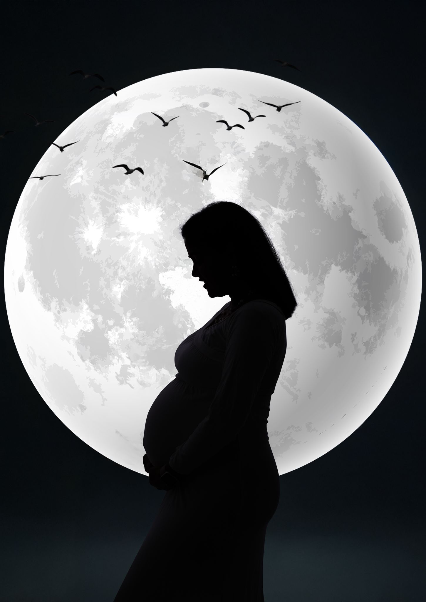 Silhouette of pregnant woman against large full moon with birds flying in the background.