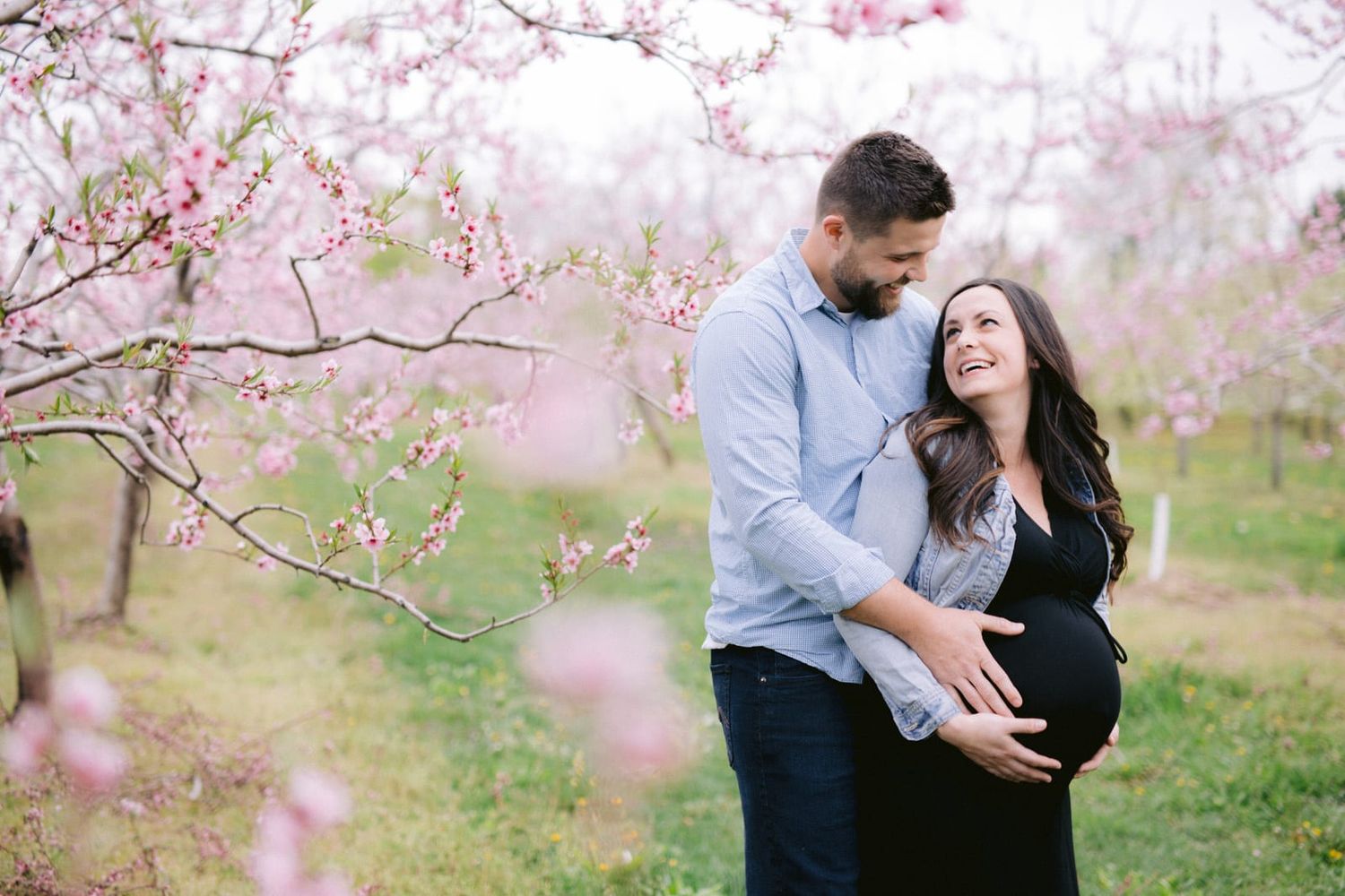 Couple embraces under blooming cherry blossom trees in a romantic spring photoshoot.