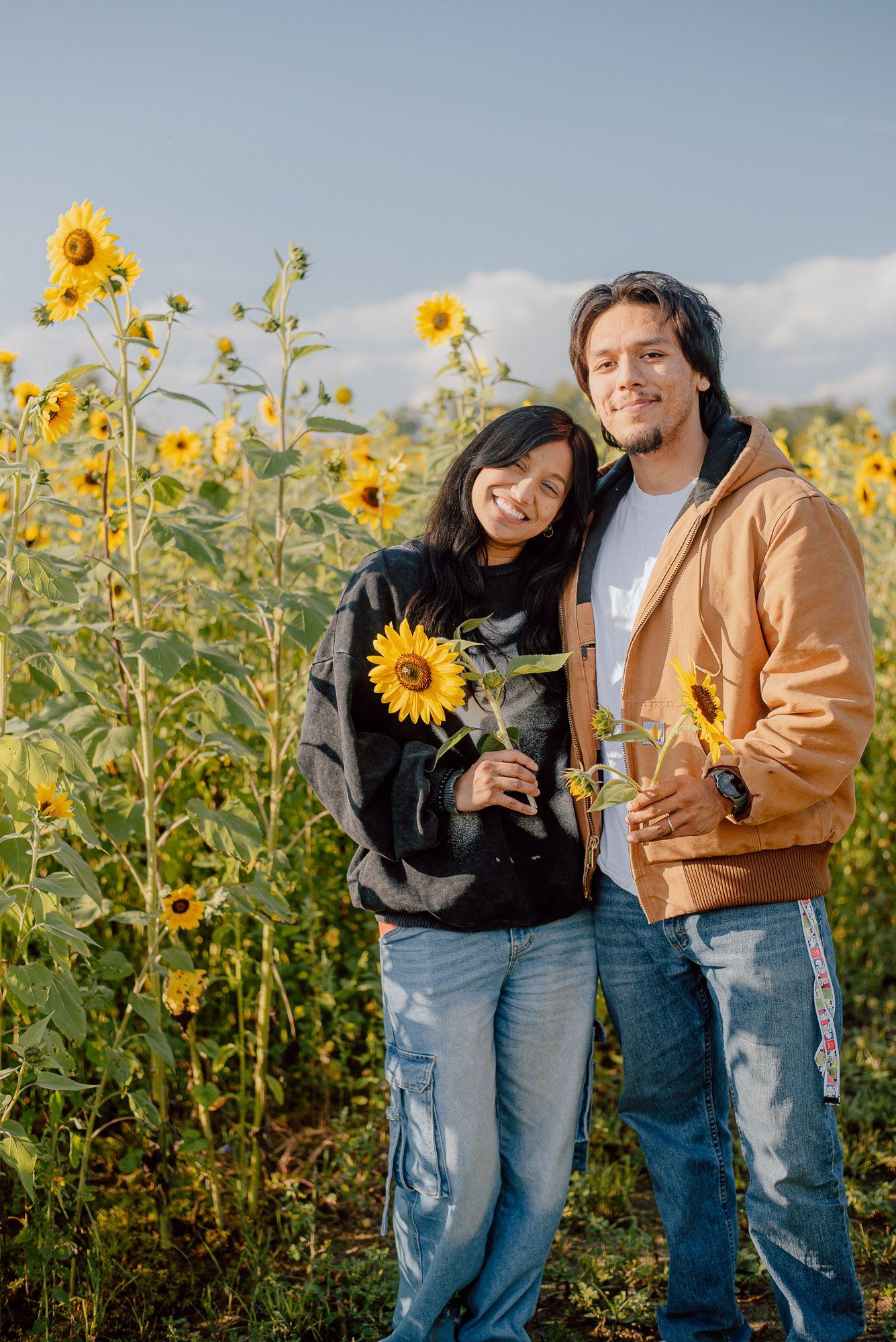 Couple photoshoot in the sunflower fields at Jersey Acres, Medofrd, NJ. Sunflower picking, late September, early Fall.