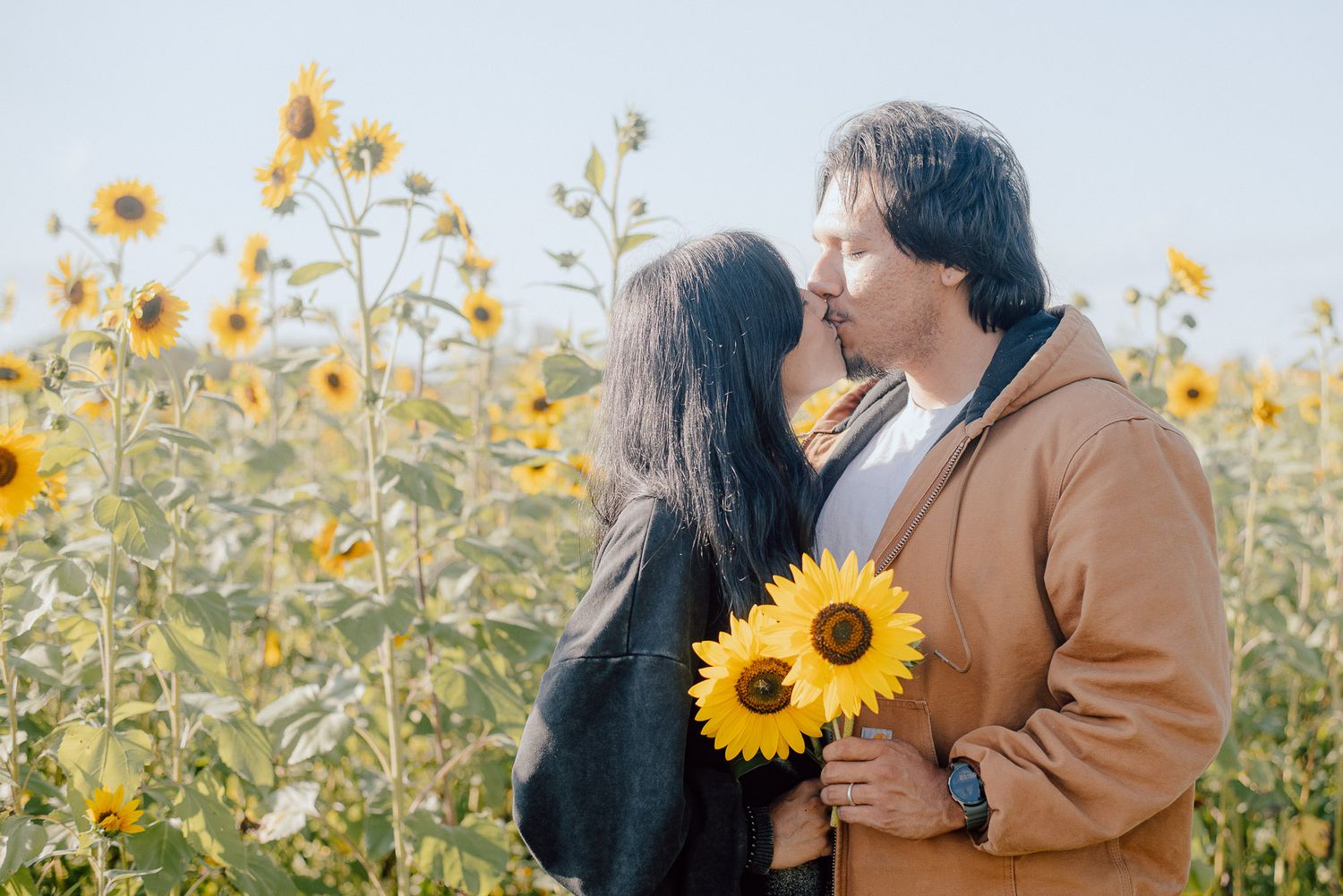 Couple photoshoot in the sunflower fields at Jersey Acres, Medofrd, NJ. Sunflower picking, late September, early Fall.