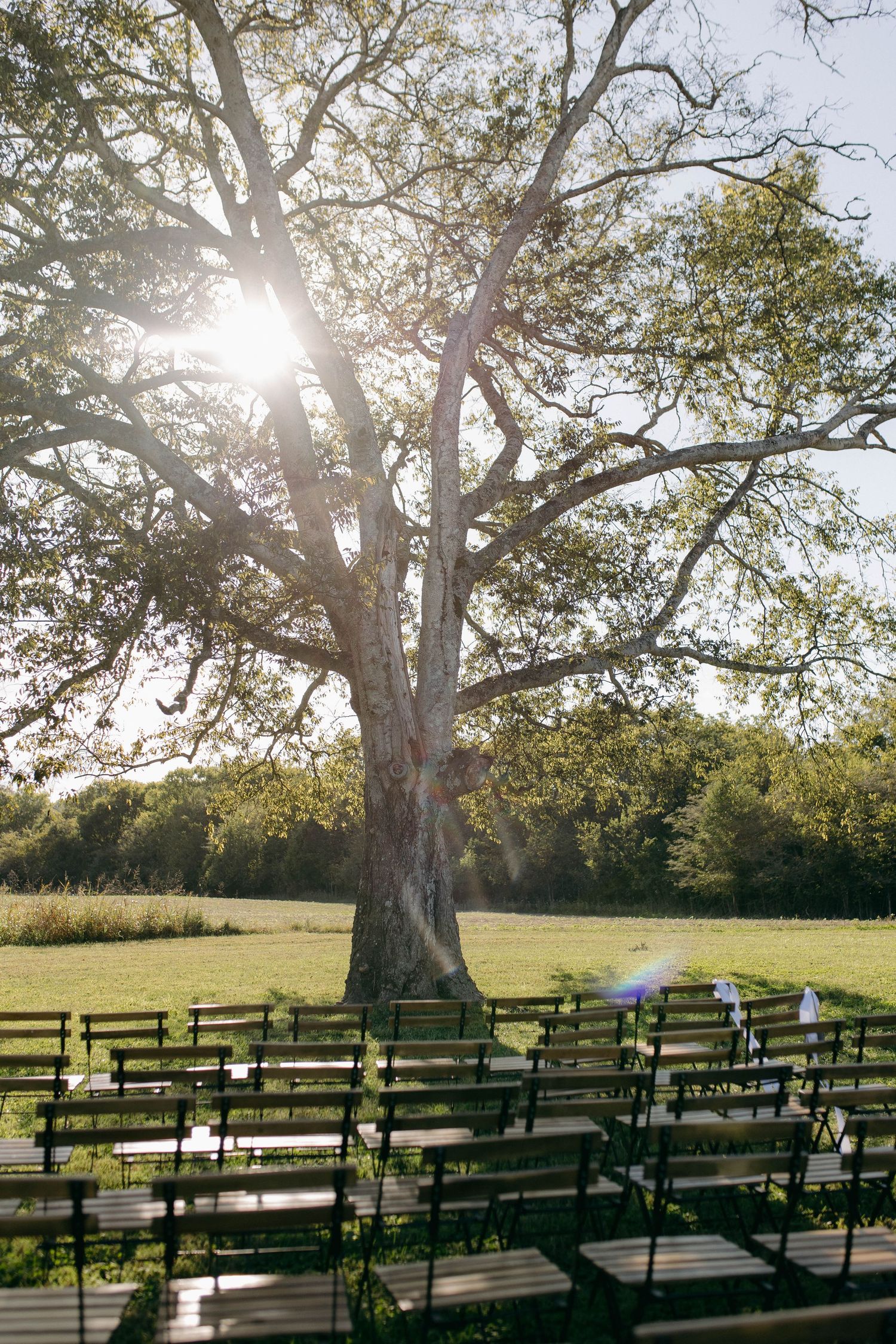 The ceremony site outside at Southall Meadows
