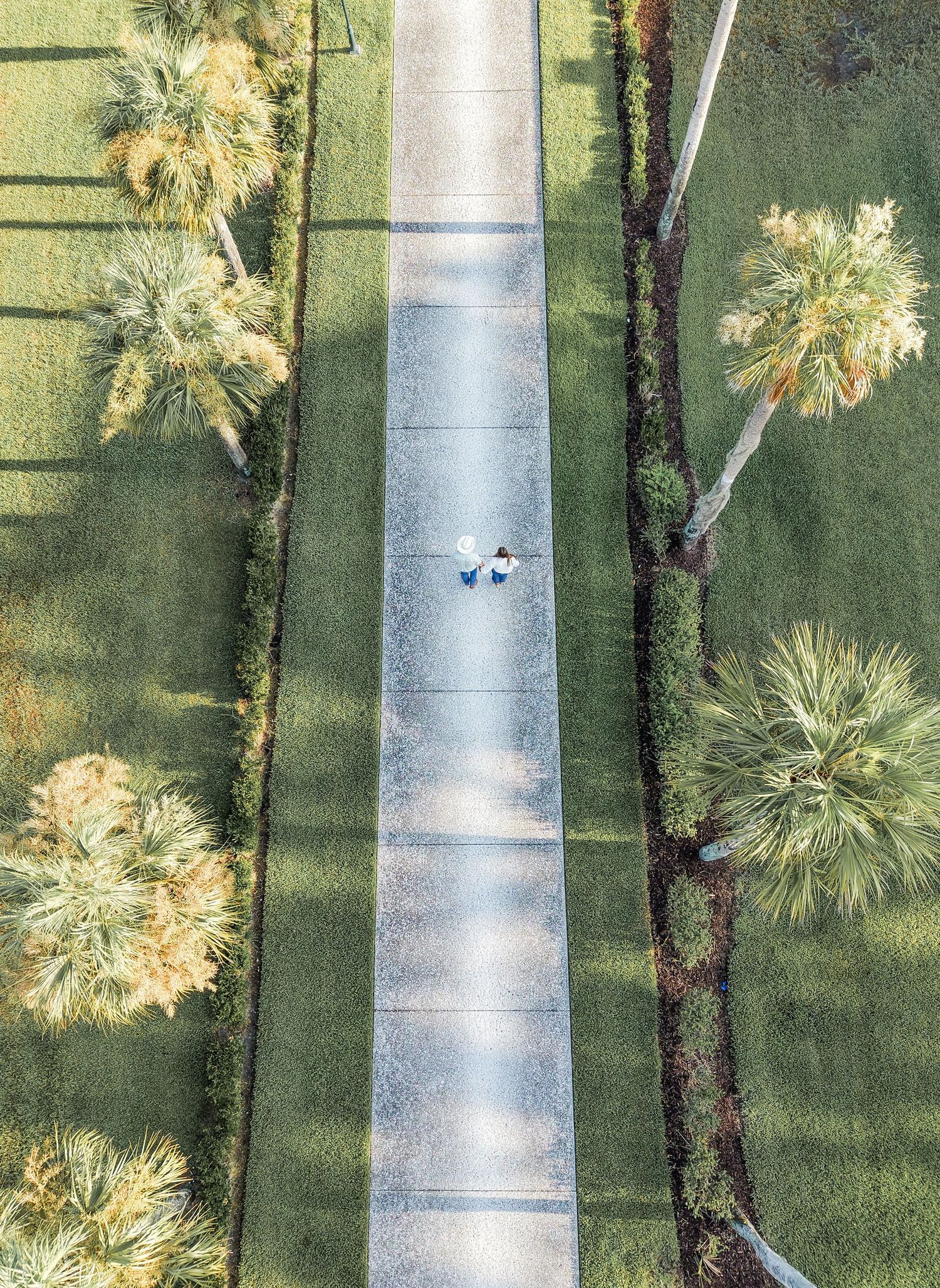 Aerial view of two people walking on a concrete path flanked by lush green lawns and tropical palm trees.