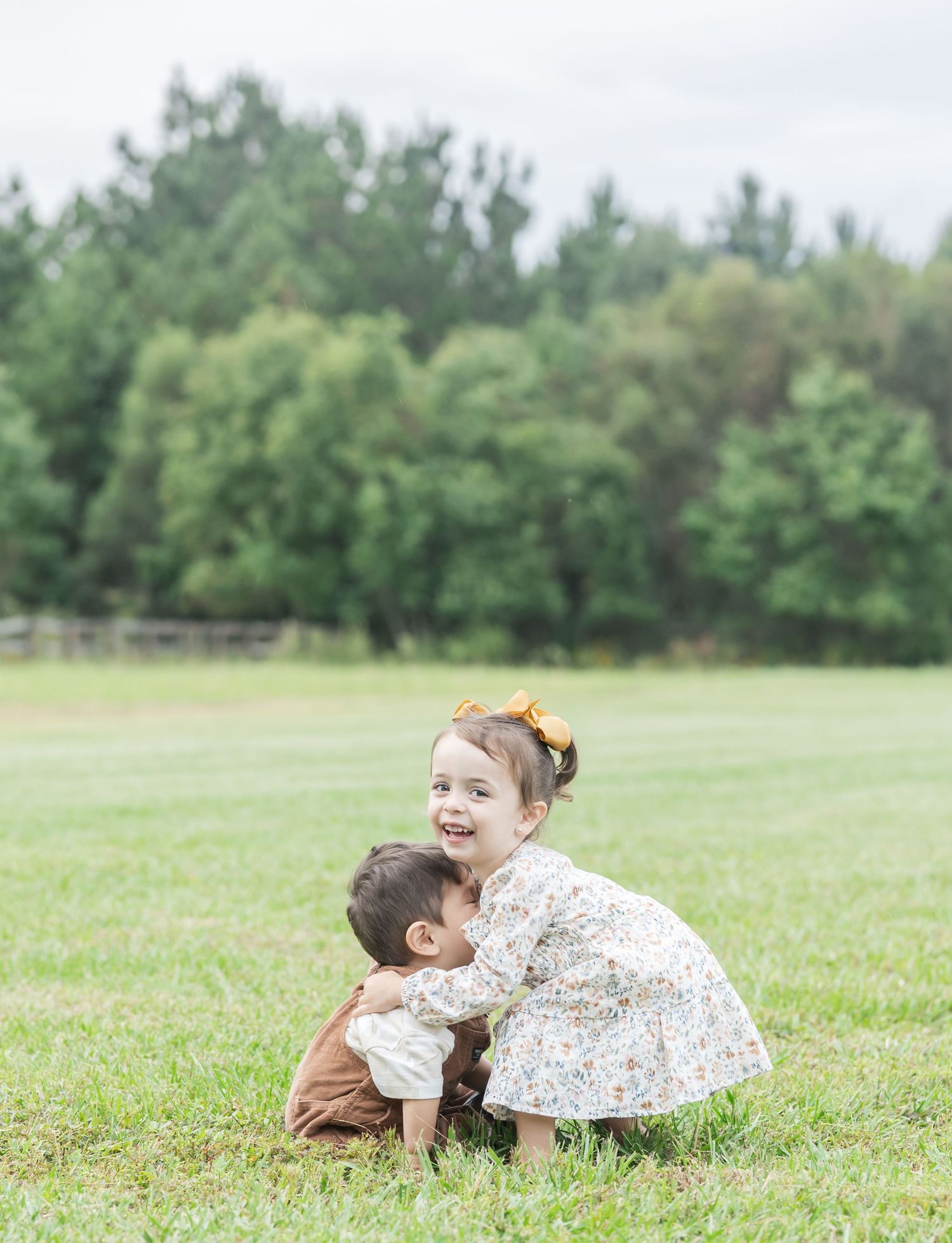 A sequence of playful moments captured in a grassy field on a sunny day.
