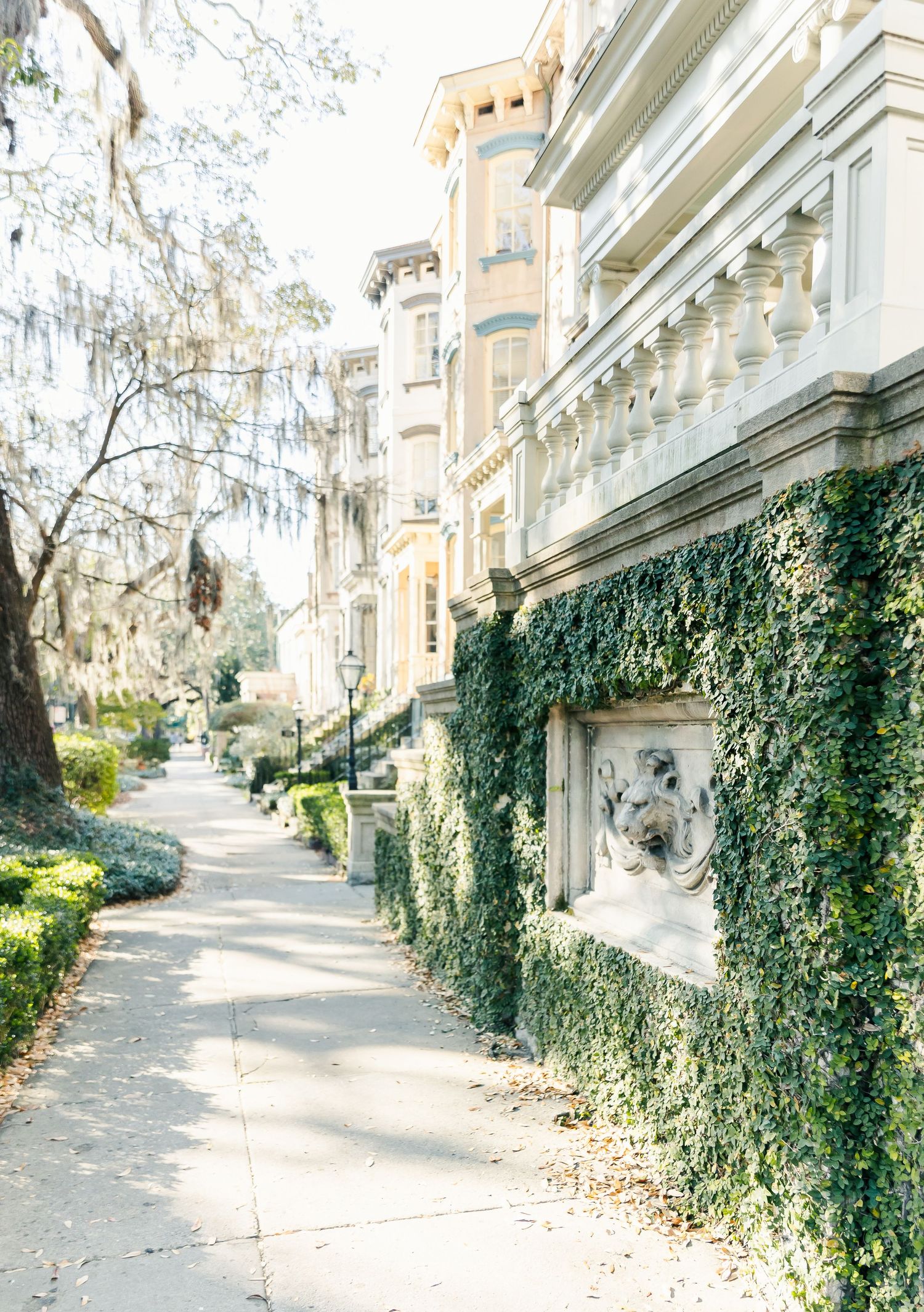 Elegant historic homes with ornate architectural details and ivy-covered walls line a shaded street.