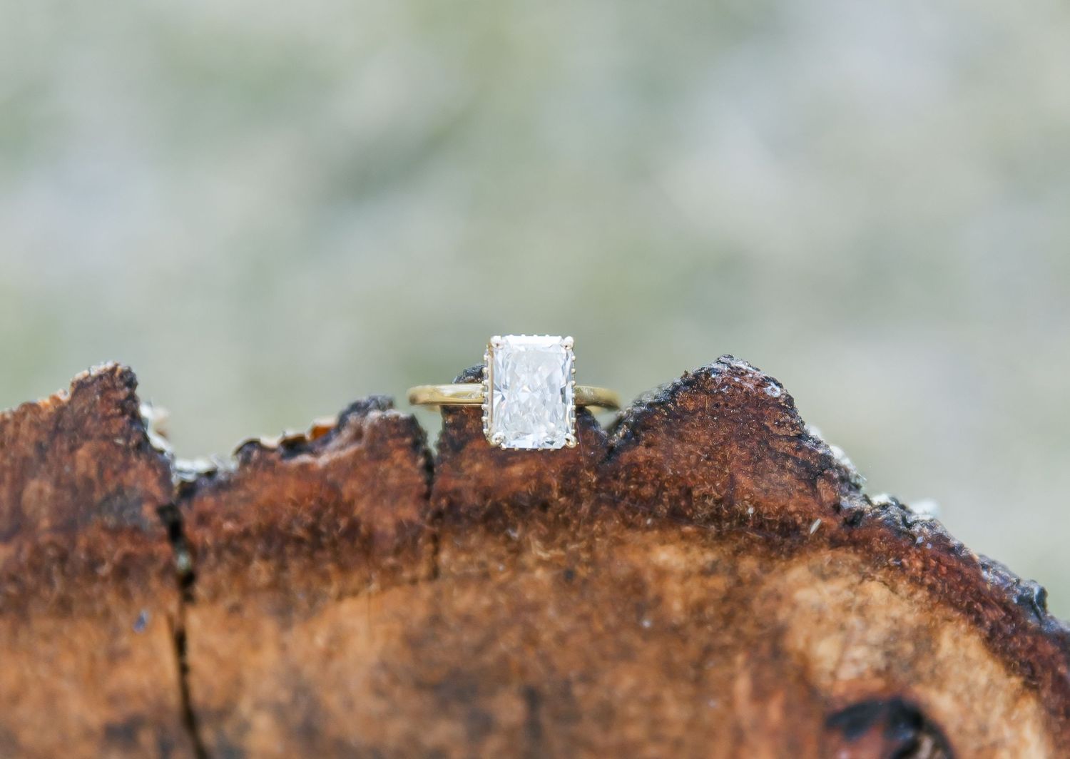 Elegant diamond engagement ring displayed on rustic wood bark in natural lighting.