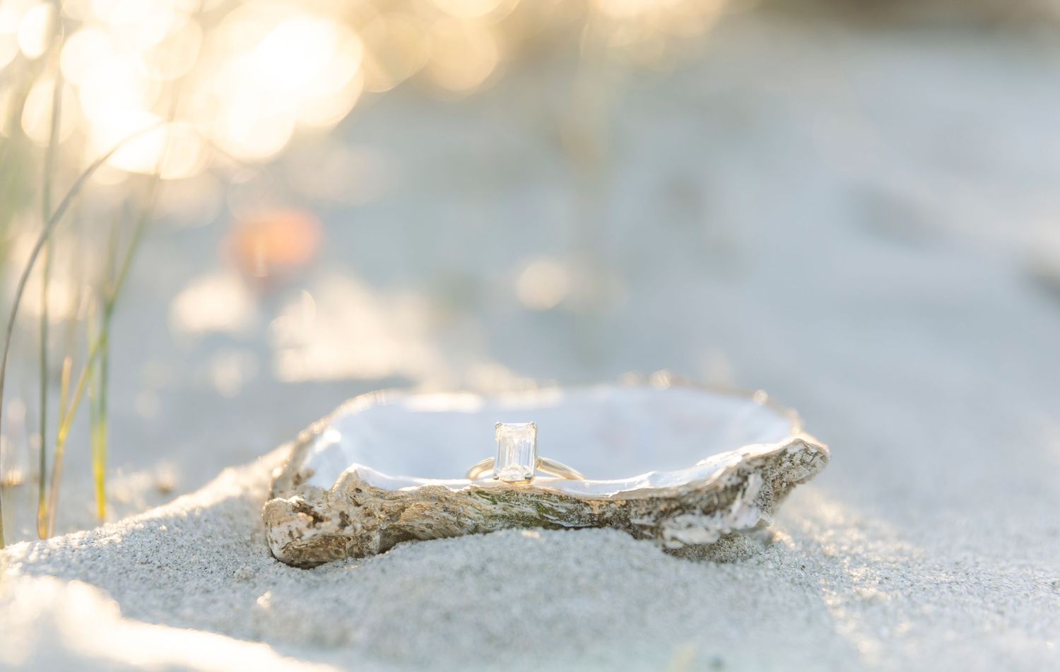 Diamond engagement ring photographed on driftwood against soft beach sand background.