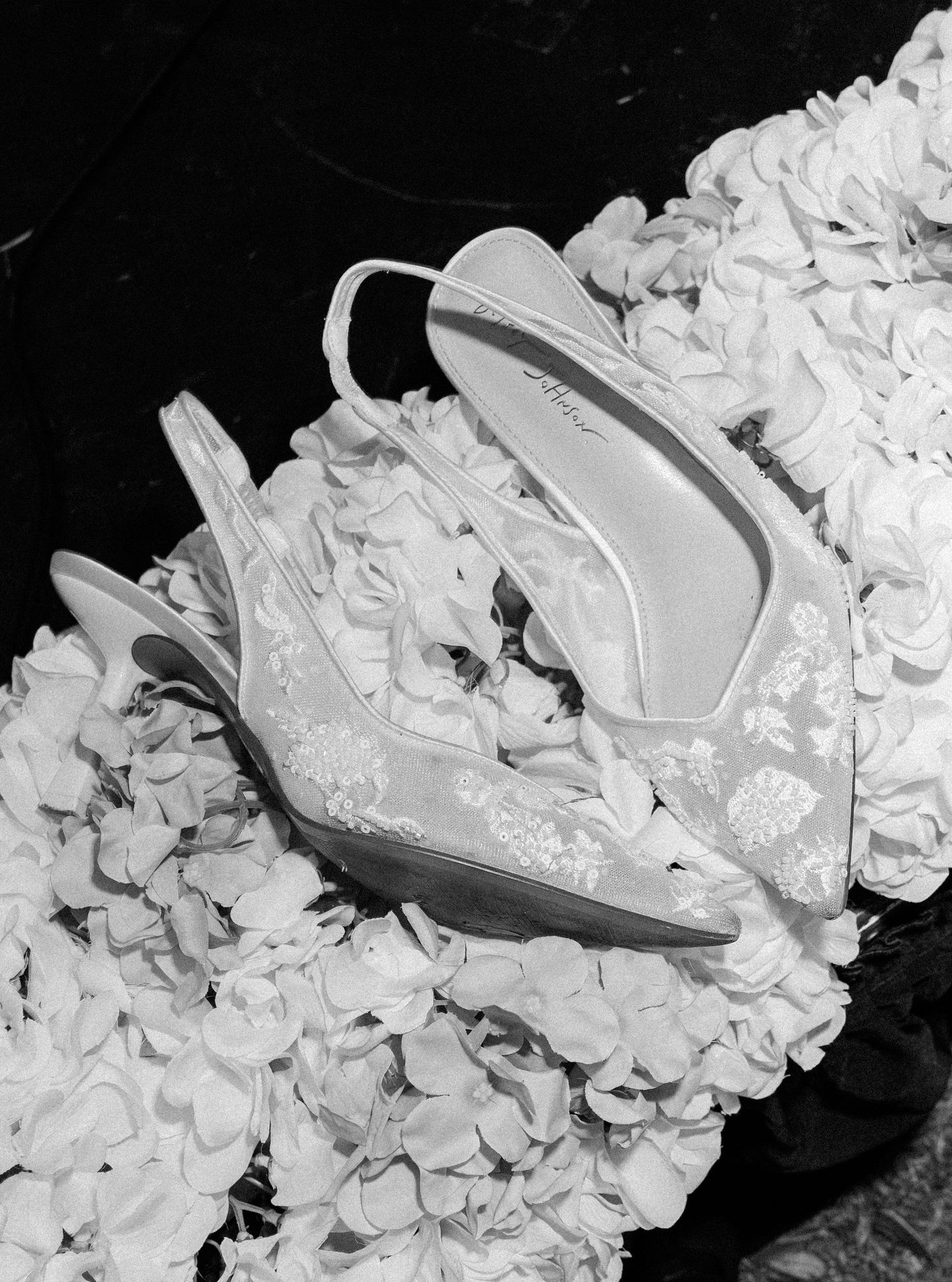 Elegant lace bridal heels resting on white hydrangea flowers in a black and white wedding photo.
