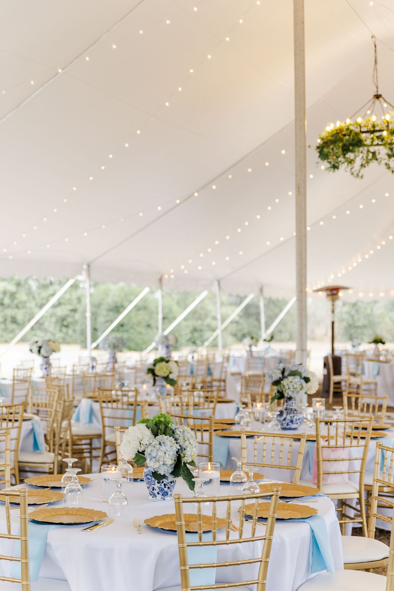 Elegant wedding reception tent with gold chiavari chairs, white tablecloths, blue hydrangea centerpieces, and string lights overhead.