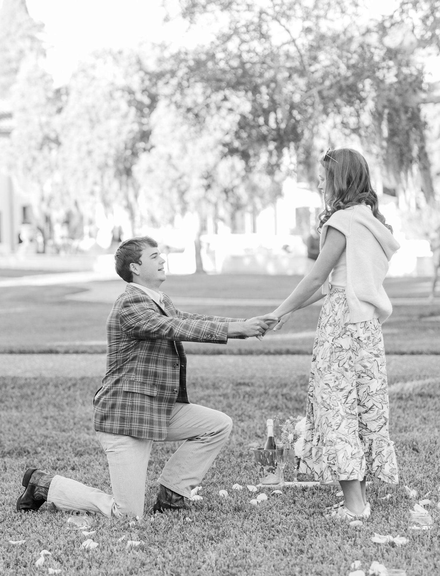 A romantic proposal scene in a park with someone kneeling and holding hands.