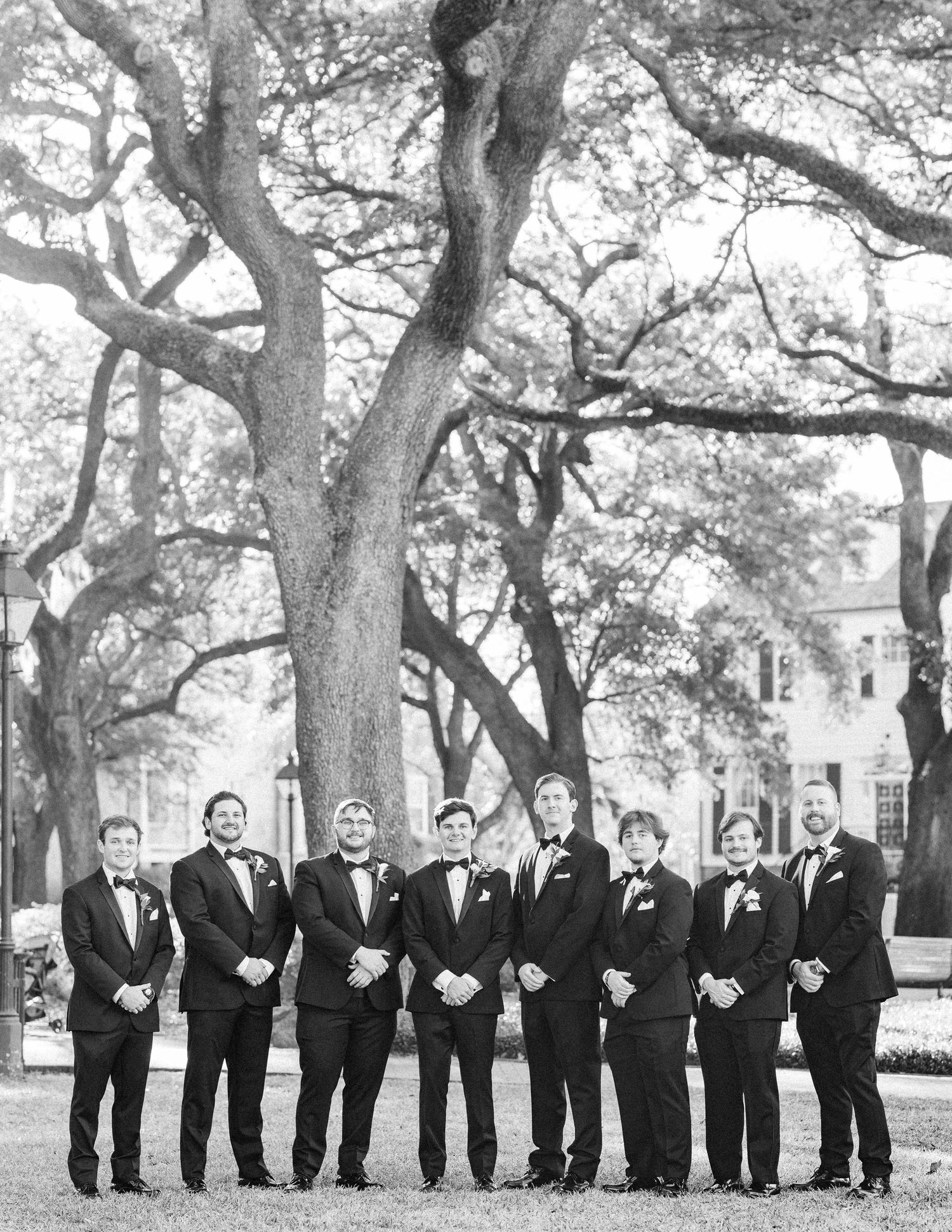 Wedding party in black tuxedos lined up under majestic oak trees for a creative group photo.
