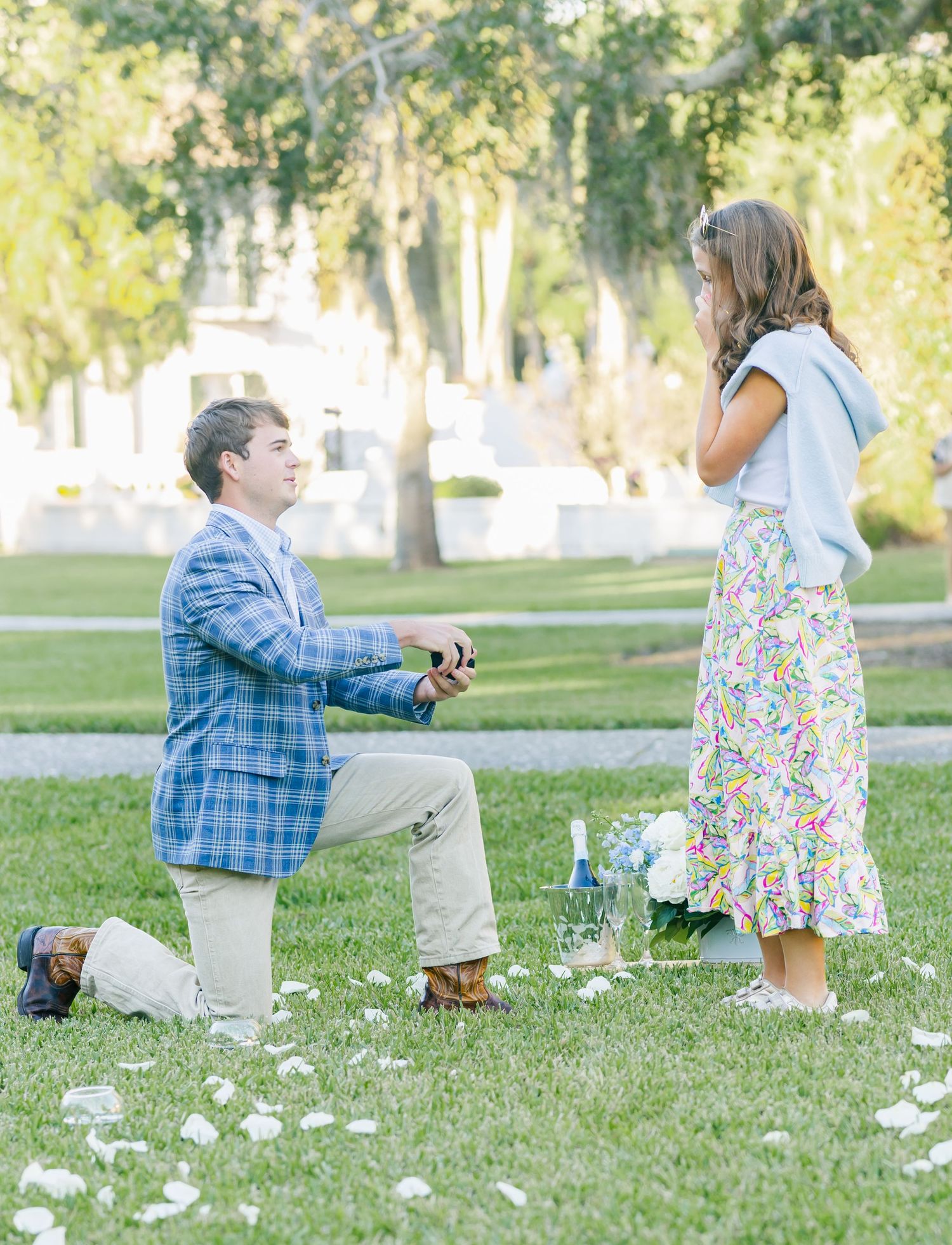 A romantic proposal scene in a park with scattered flower petals on the grass during a sunny day.