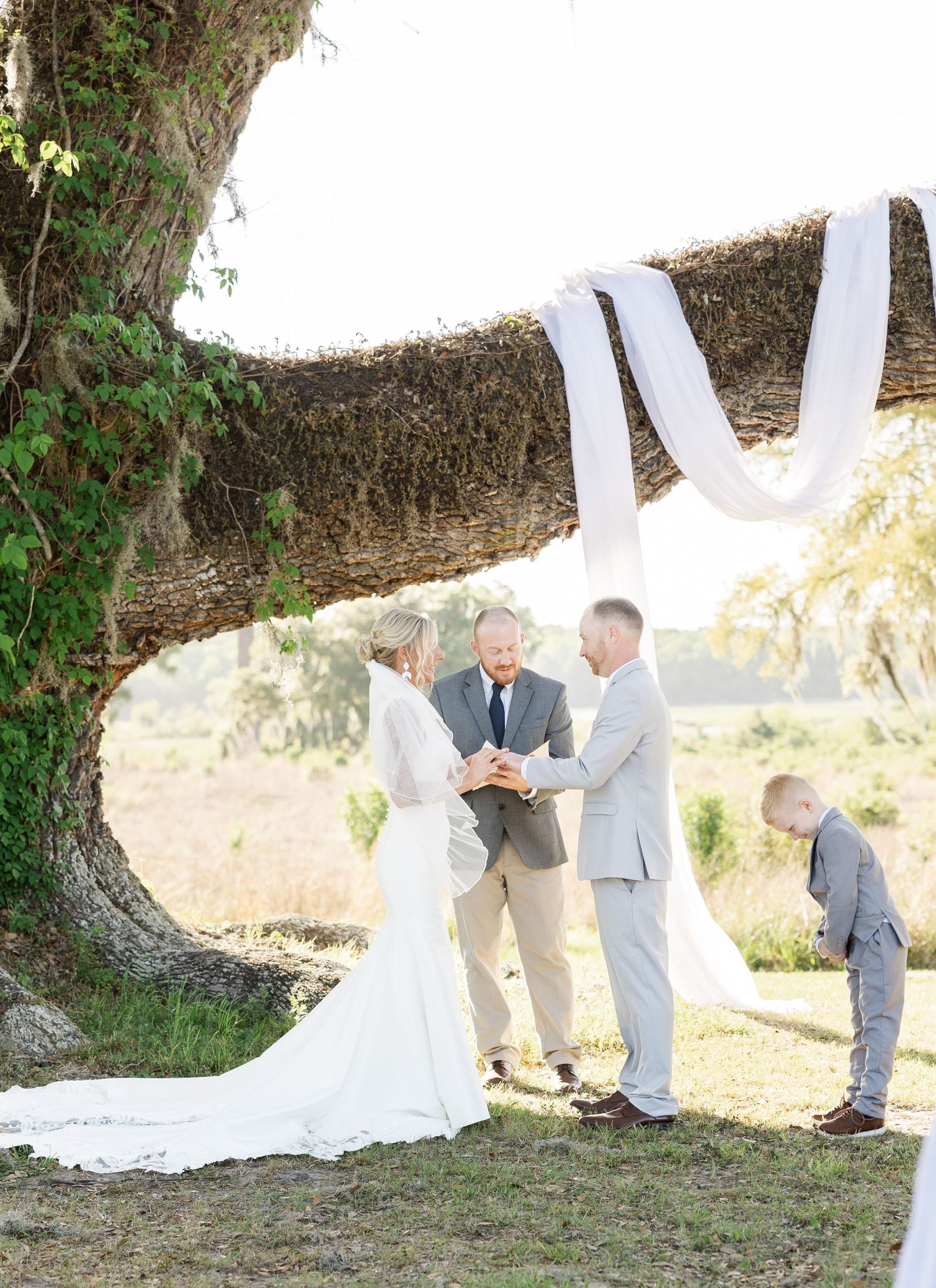 Outdoor wedding ceremony under a moss-draped oak tree with bride, groom, officiant, and ring bearer.