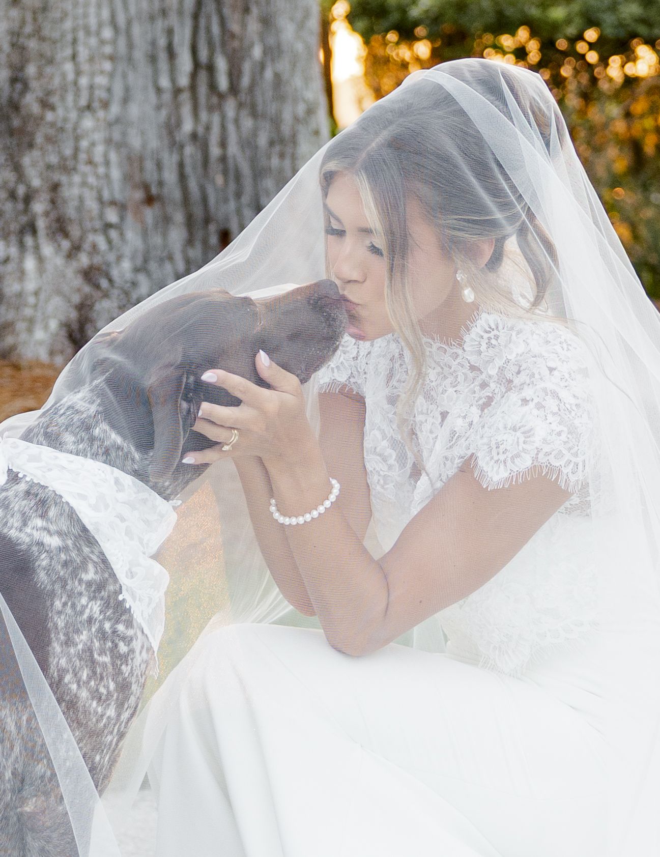 Bride in white lace gown and veil kissing her gray spotted dog outdoors near a tree.