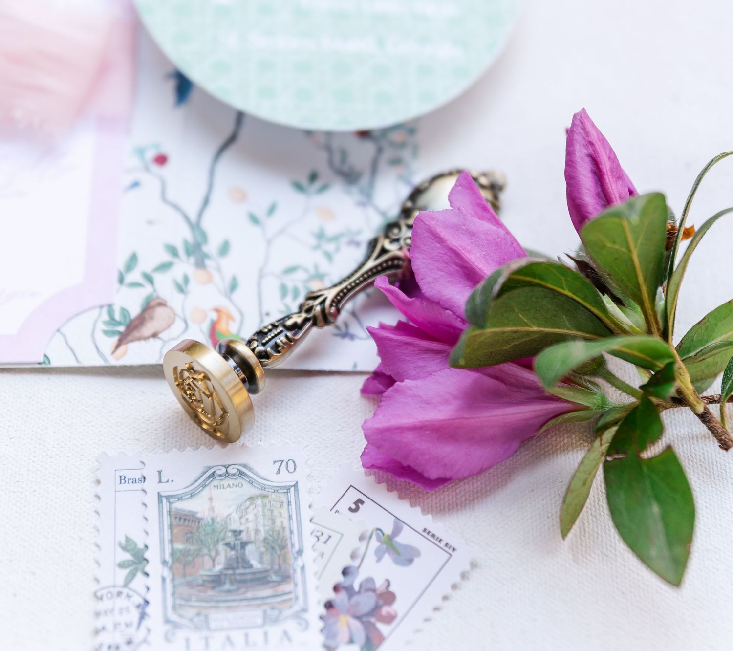 Pink magnolia flower blooms against a white background with vintage postage stamps and paper ephemera details.