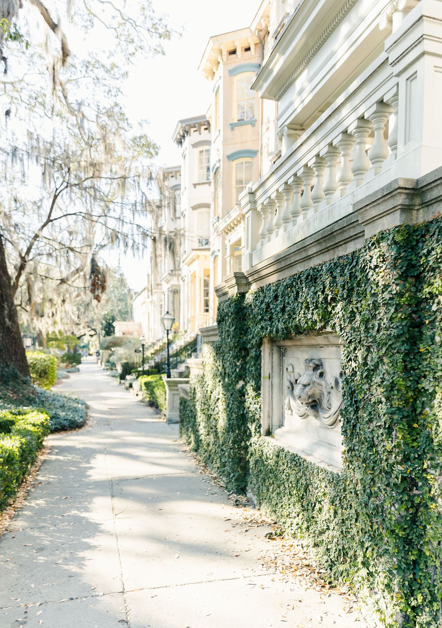 Historic row houses with ornate architecture and ivy-covered walls line a charming street in Savannah, Georgia.