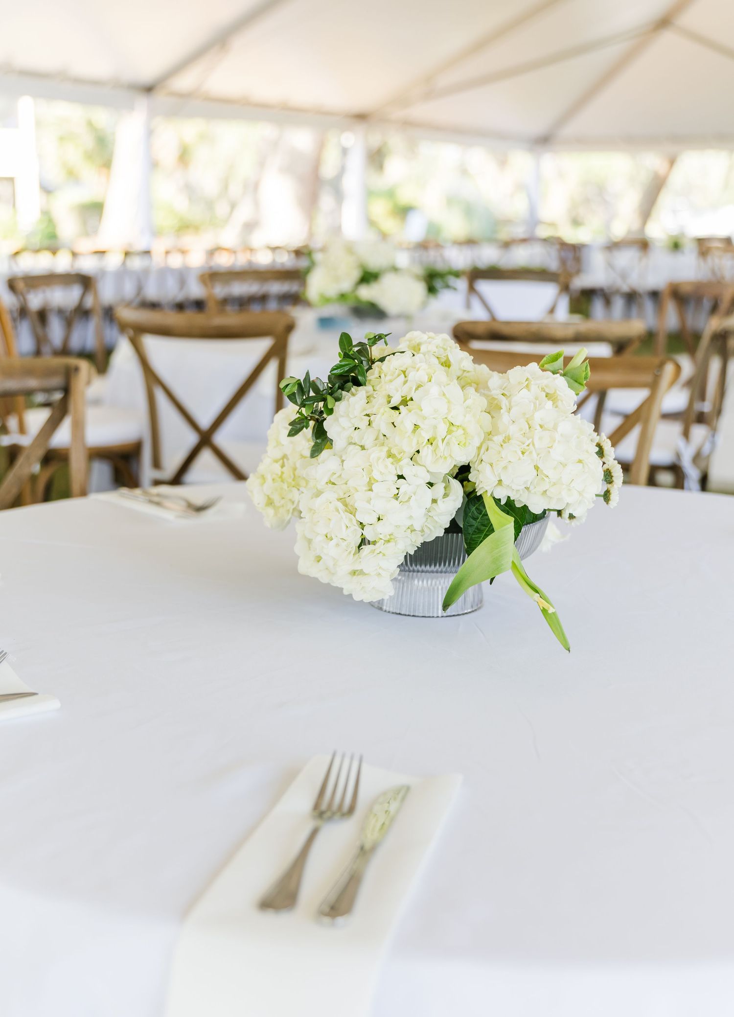 White hydrangea centerpieces on tables with wooden chairs under an outdoor wedding tent.