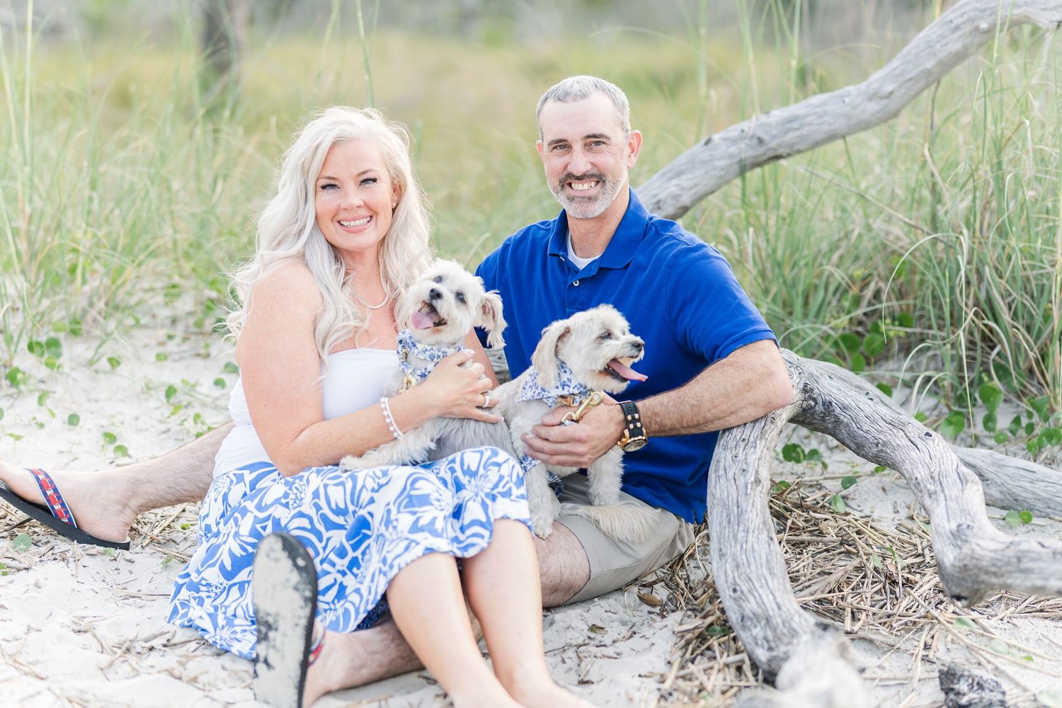 Beach portrait session with couple and their small white dogs sitting on driftwood.