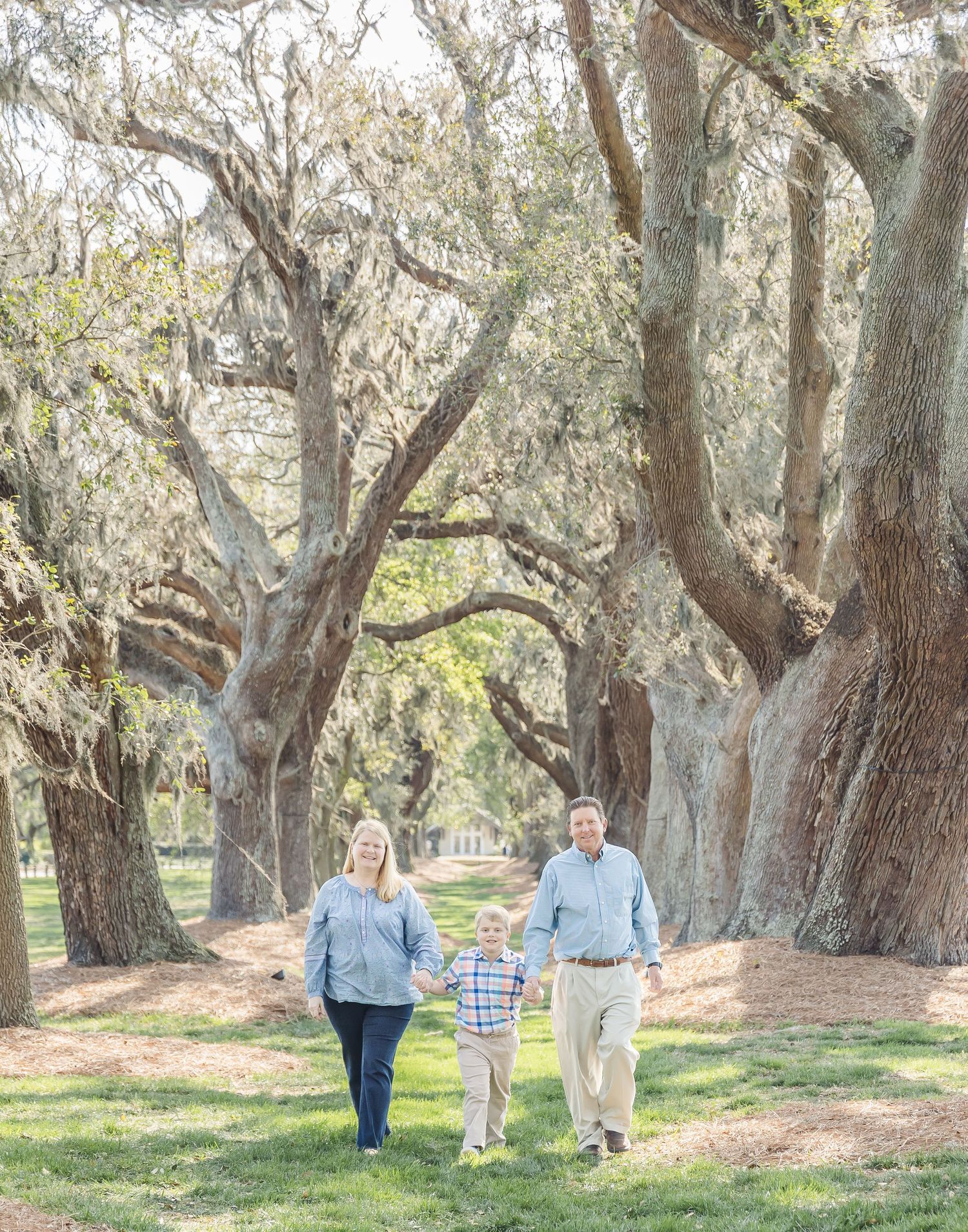 Family holds hands while walking down oak-lined path during spring photo session.