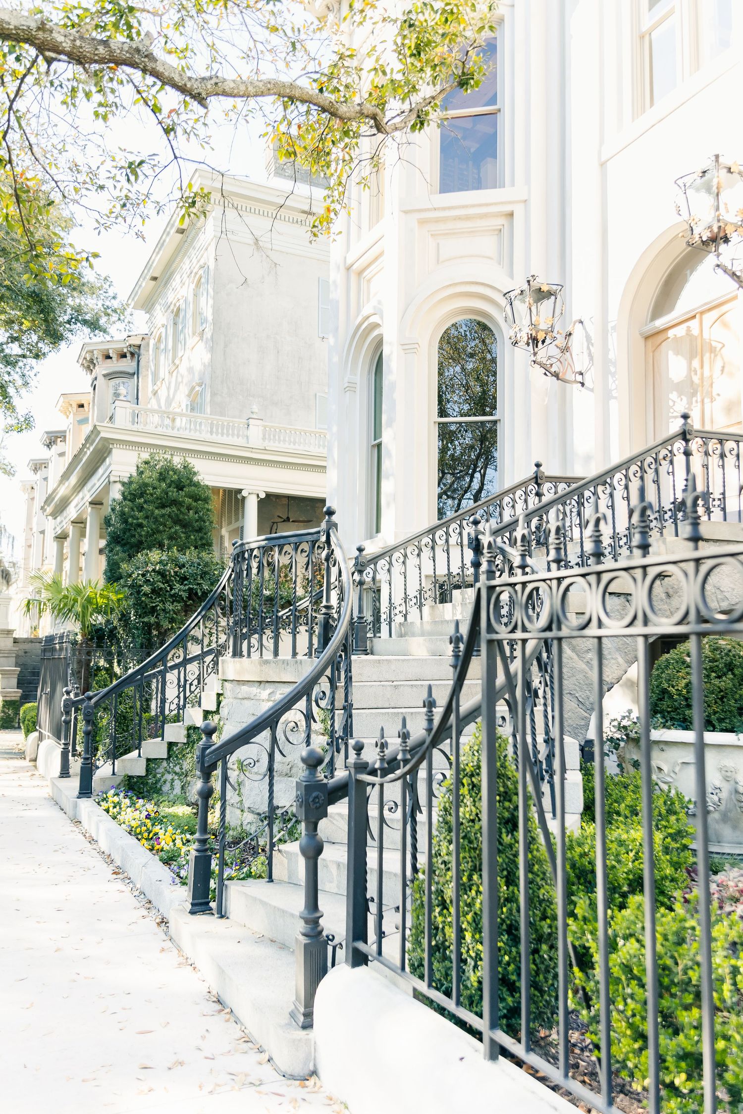 Elegant wrought iron railings line white stone steps leading to historic Charleston row houses with tall windows.