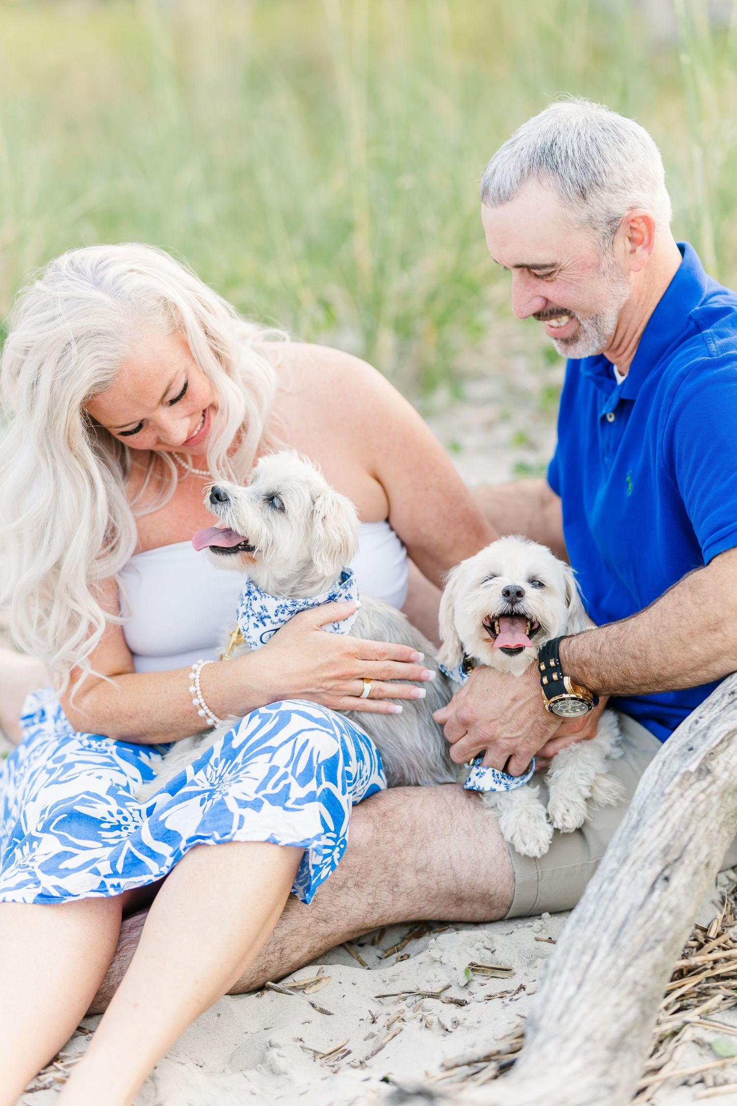 A happy couple laughs while cuddling their two small white dogs on sandy beach.