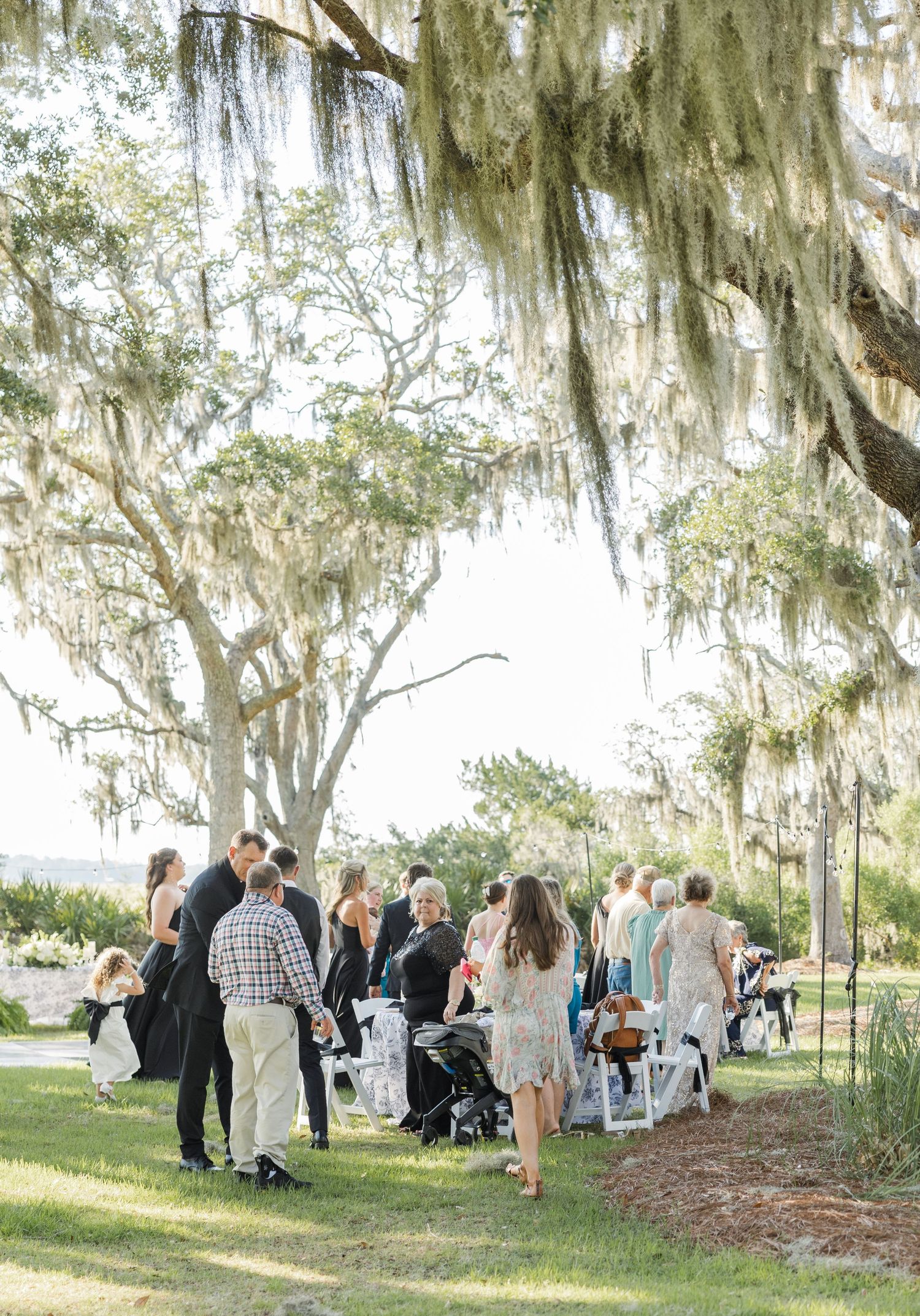 Wedding guests gathering outdoors under Spanish moss-covered oak trees at a sunlit garden ceremony.