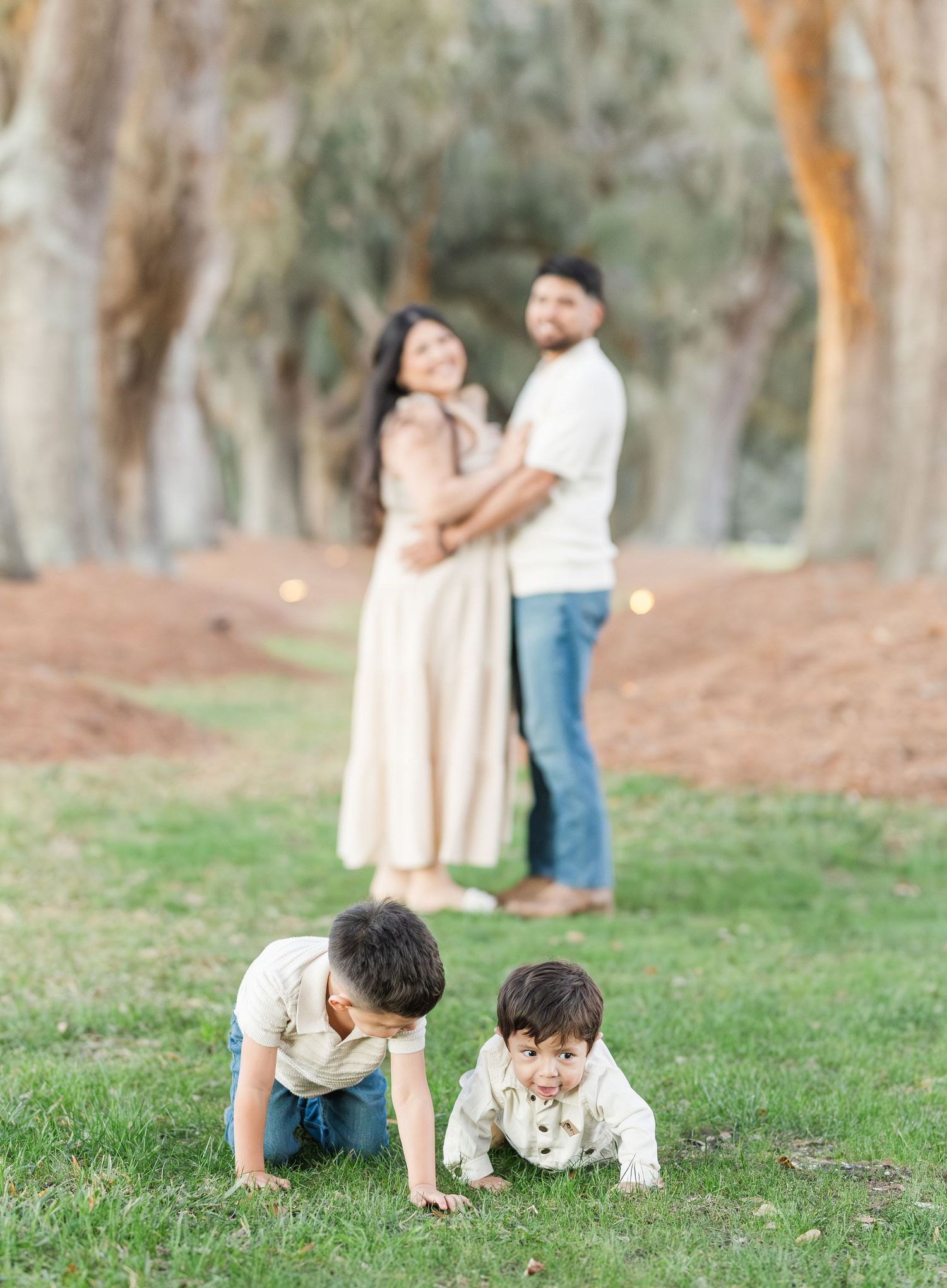 Family enjoying outdoor playtime together in park with tall eucalyptus trees.