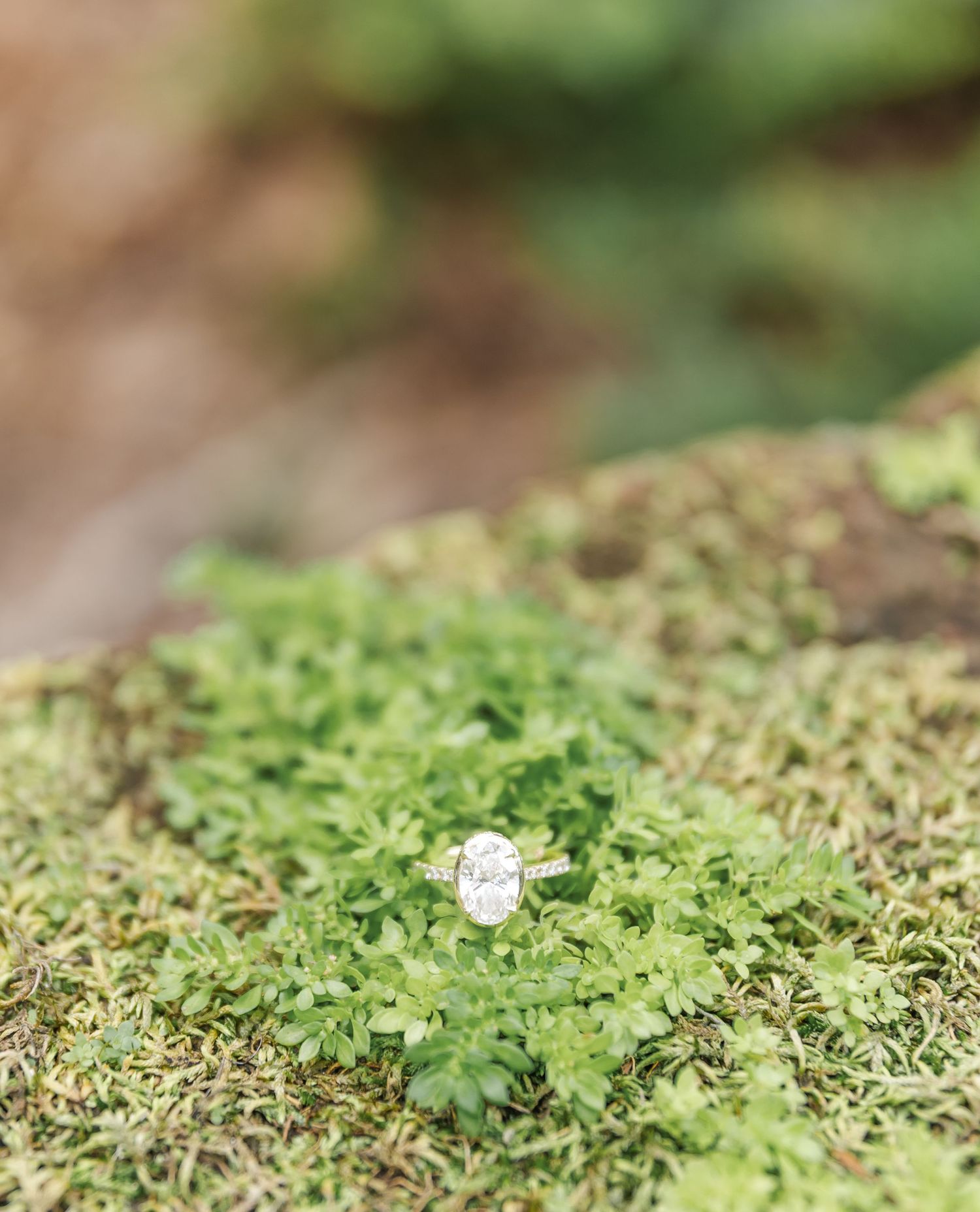 Close-up macro photograph shows tiny white mushroom growing on green moss in forest environment.